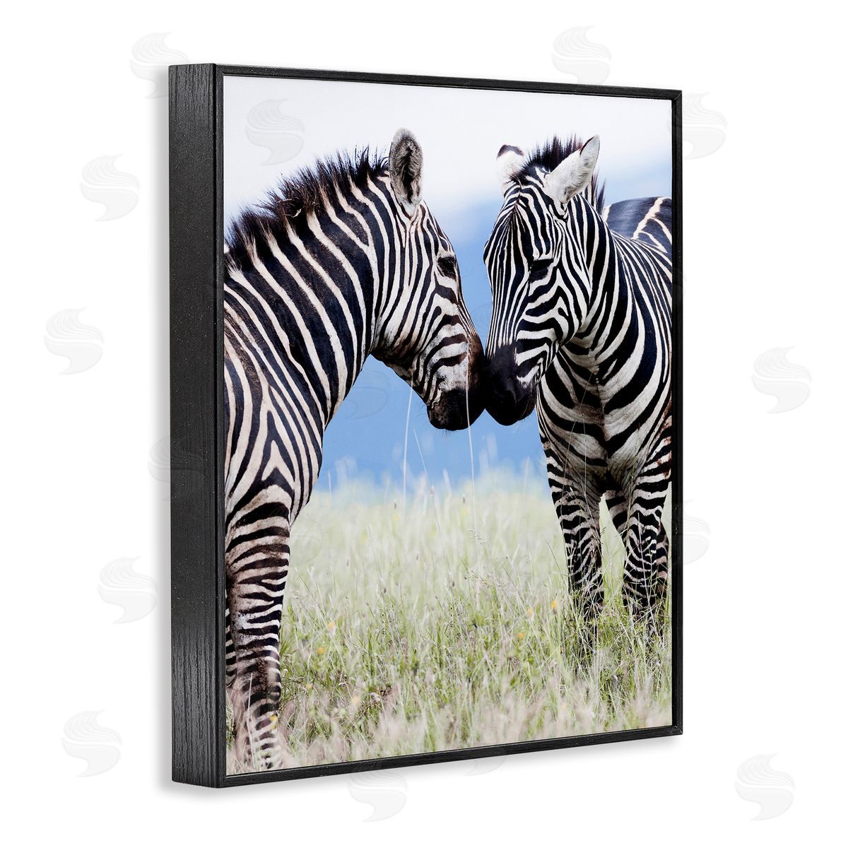 Danita Delimont Heartwarming Zebras Kissing in Field Animal Wildlife  Black Framed Giclee Wall Art Print