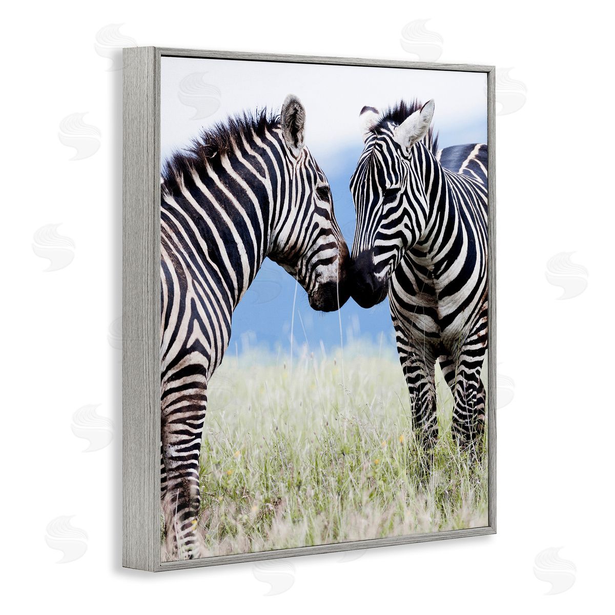 Danita Delimont Heartwarming Zebras Kissing in Field Animal Wildlife  Gray Framed Giclee Wall Art Print