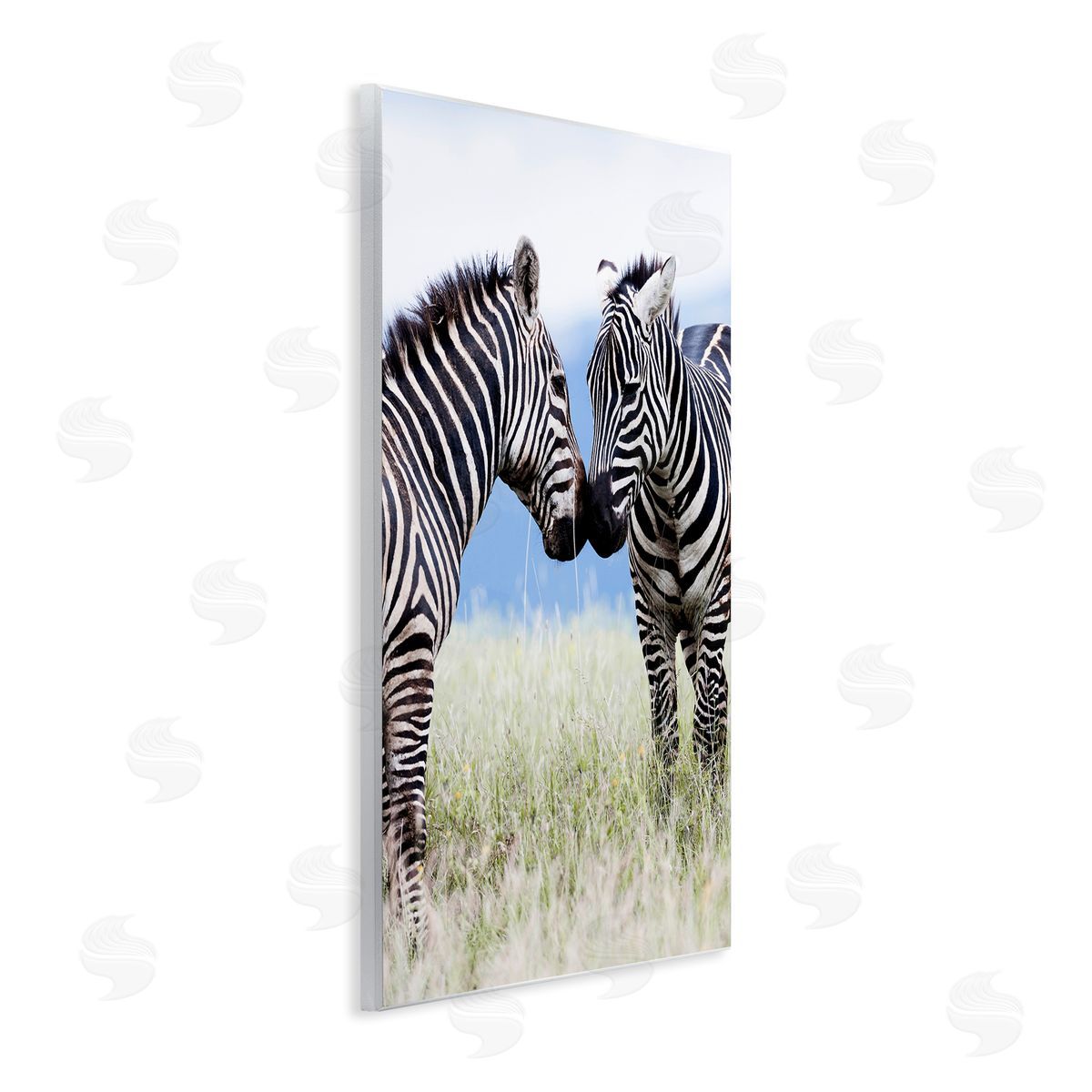Danita Delimont Heartwarming Zebras Kissing in Field Animal Wildlife  Wall Plaque Art Print