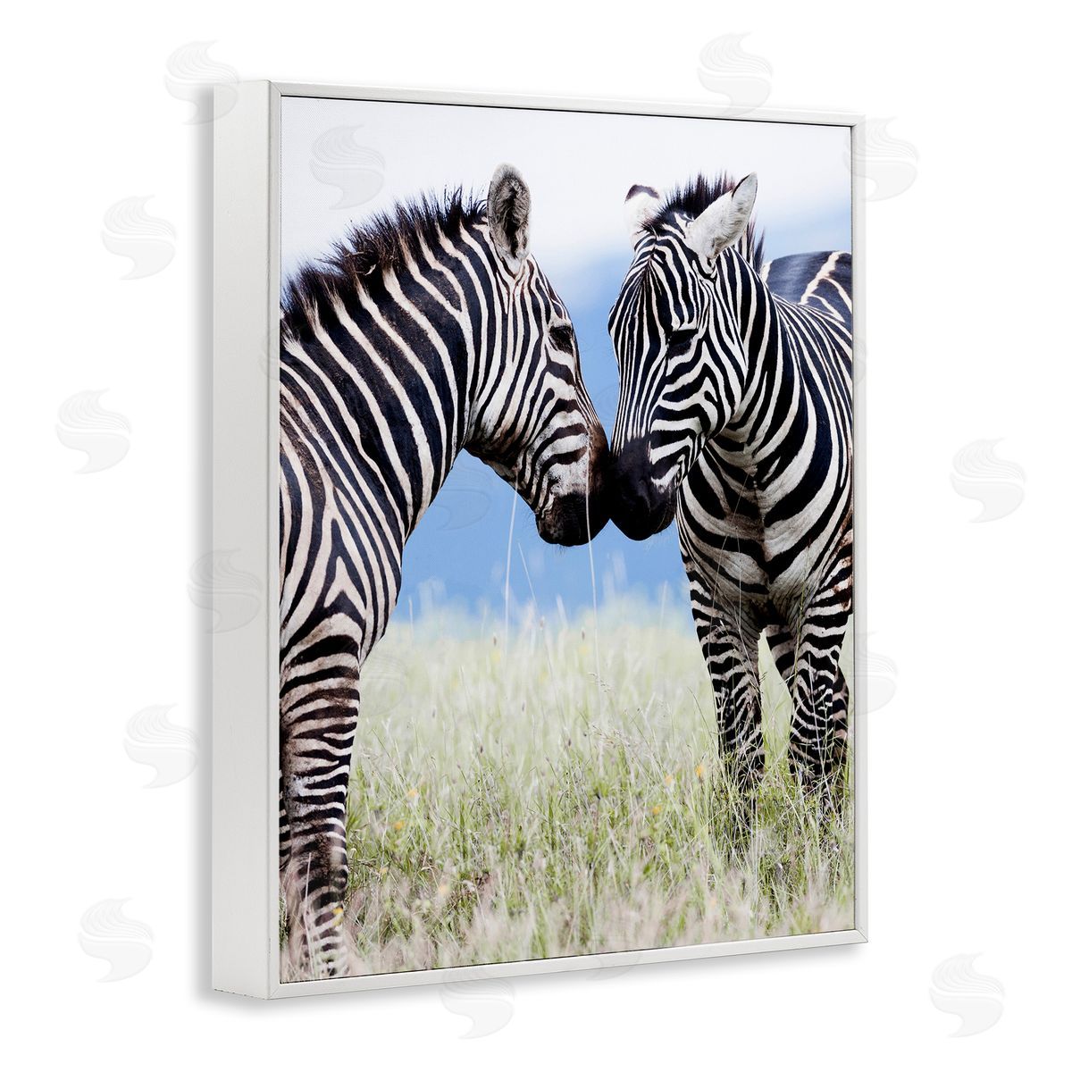Danita Delimont Heartwarming Zebras Kissing in Field Animal Wildlife  White Framed Giclee Wall Art Print
