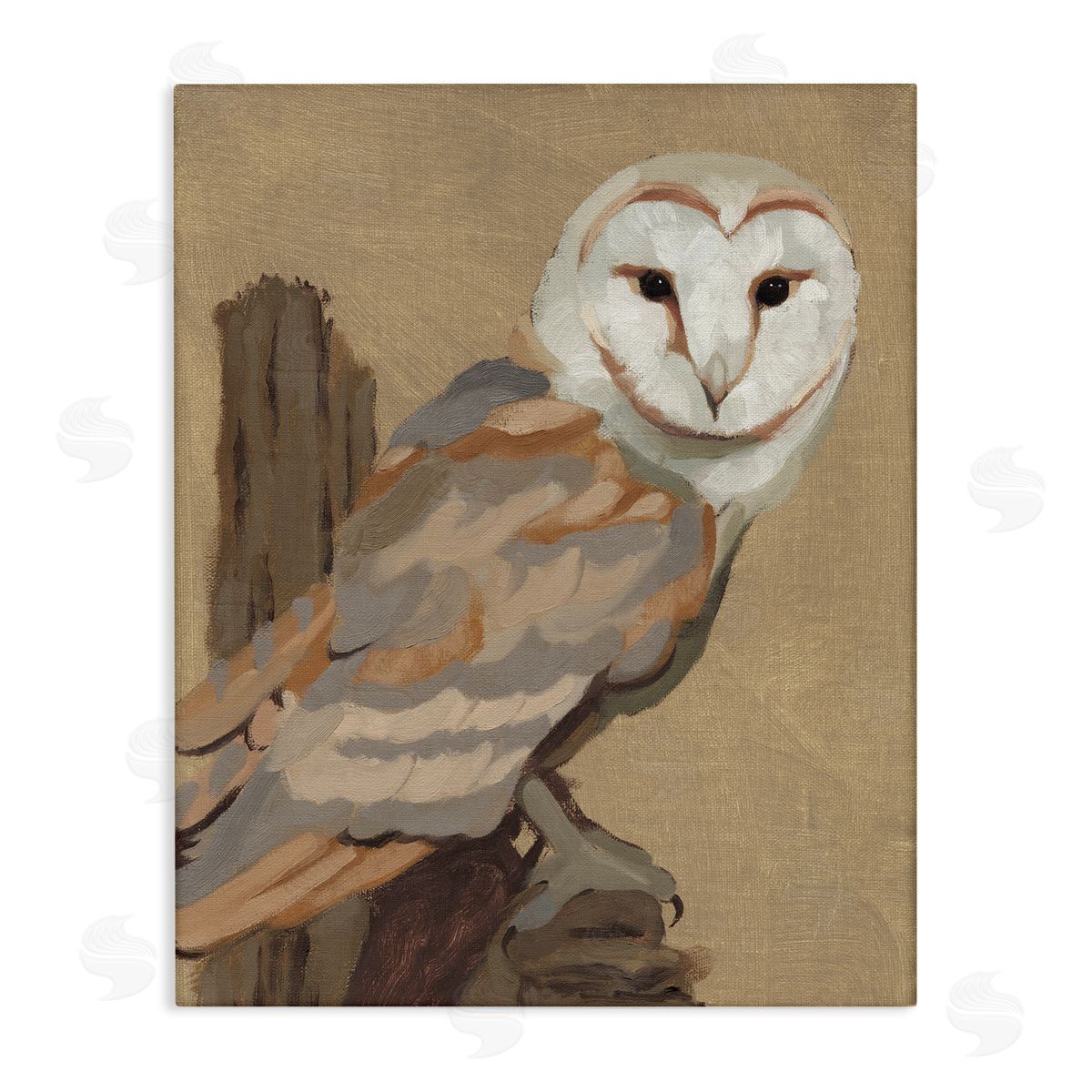 Jacob Green Barn Owl Bird Perched Gazing Wildlife Animal Painting Stretched Canvas Wall Art Print