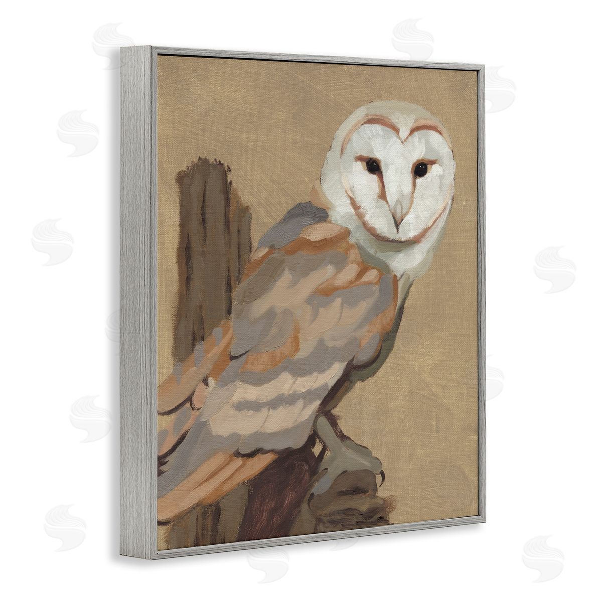Jacob Green Barn Owl Bird Perched Gazing Wildlife Animal Painting Gray Framed Giclee Wall Art Print