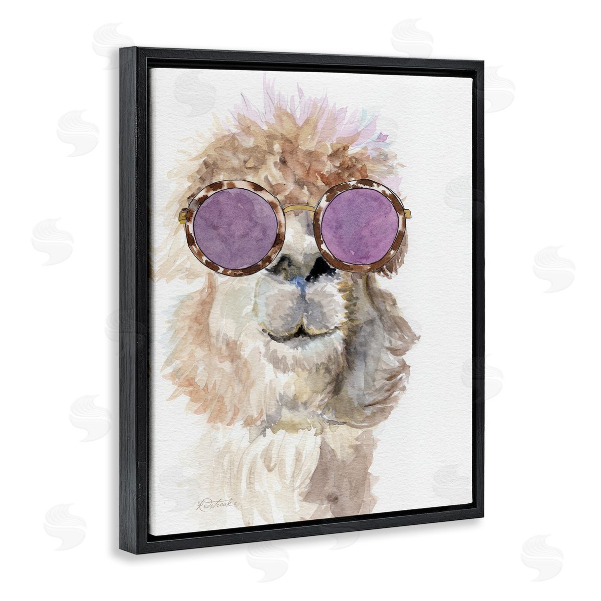 Jennifer Redstreake Fluffy Alpaca Fun Purple Glam Sunglasses Portrait Black Floating Frame Canvas Wall Art Print