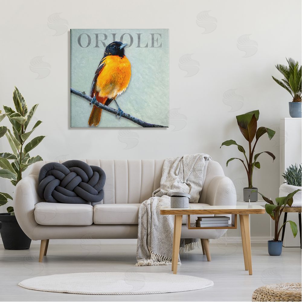 Alpenglow Workshop Detailed Oriole Bird Portrait Perched Wildlife Animal Canvas Wall Art in Room