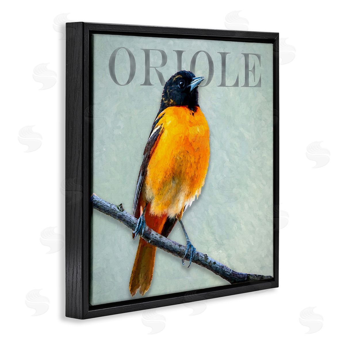 Alpenglow Workshop Detailed Oriole Bird Portrait Perched Wildlife Animal Black Floating Frame Canvas Wall Art Print