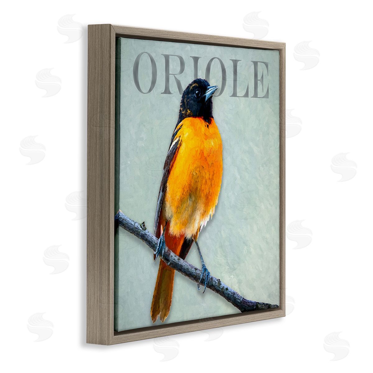 Alpenglow Workshop Detailed Oriole Bird Portrait Perched Wildlife Animal Brown Floating Frame Canvas Wall Art Print