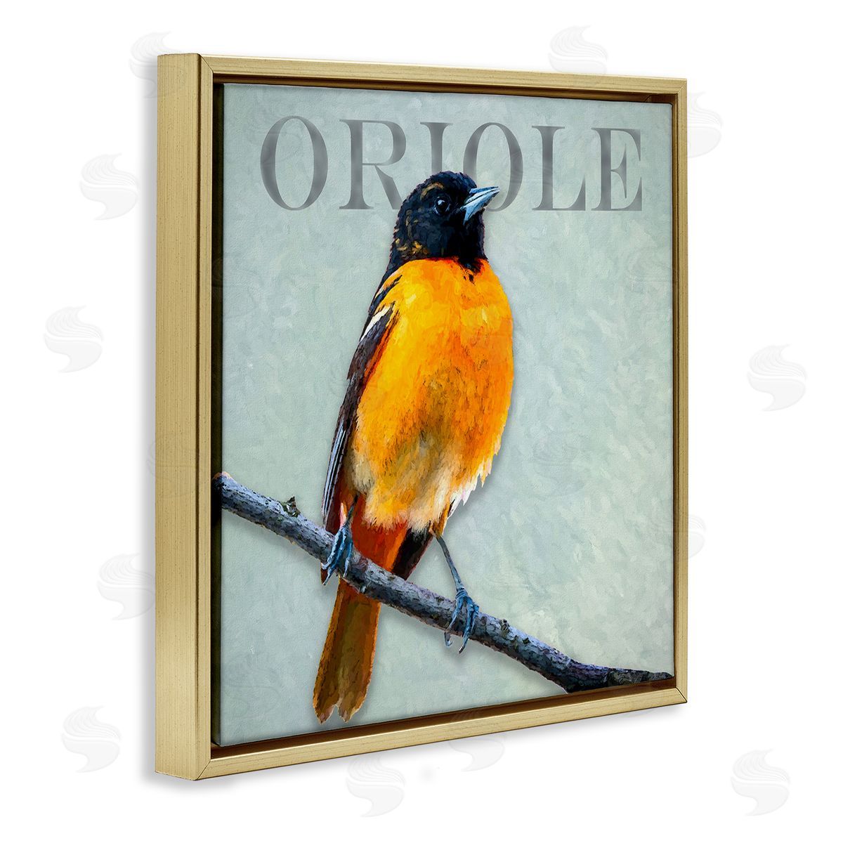 Alpenglow Workshop Detailed Oriole Bird Portrait Perched Wildlife Animal Gold Floating Frame Canvas Wall Art Print