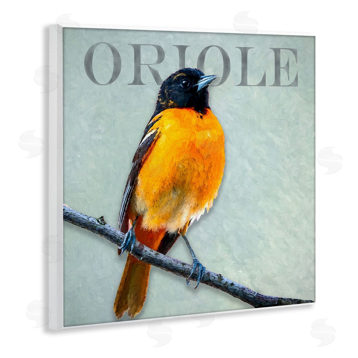 Alpenglow Workshop Detailed Oriole Bird Portrait Perched Wildlife Animal Wooden Wall Plaque Art Print