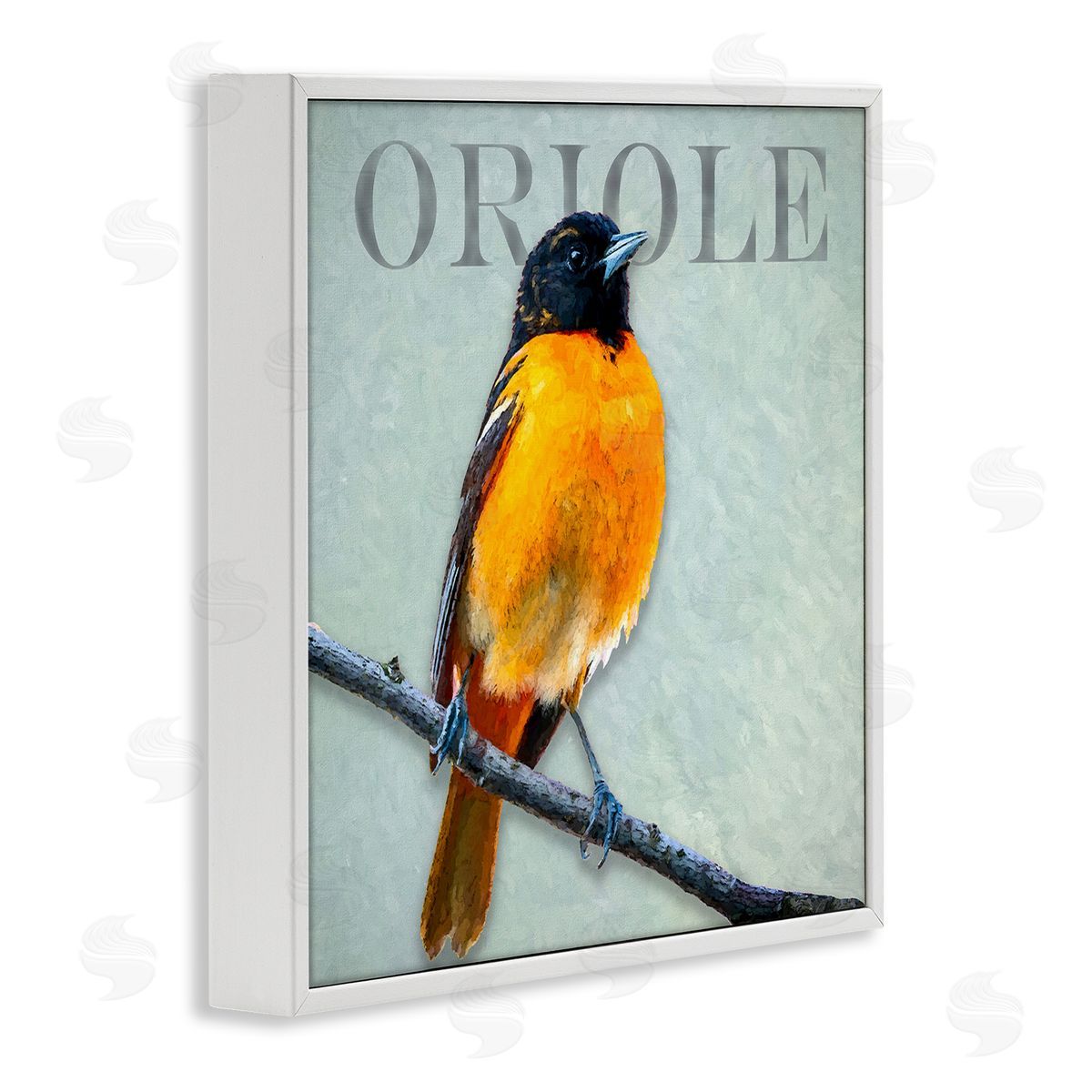 Alpenglow Workshop Detailed Oriole Bird Portrait Perched Wildlife Animal White Framed Glicee Wall Art Print