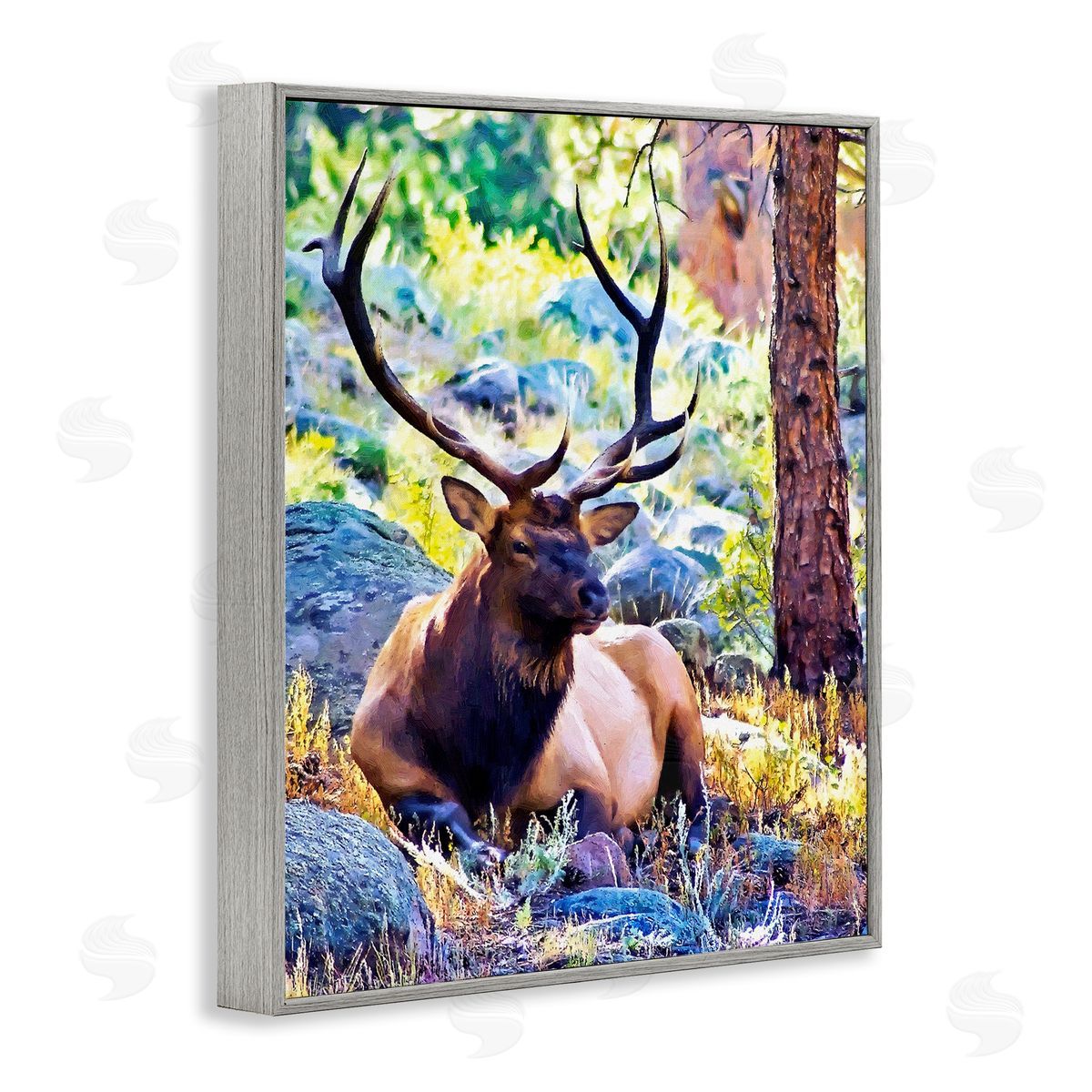 Alpenglow Workshop Stag Deer Resting Amid Forest Trees Natural Wildlife  Gray Framed Giclee Wall Art Print