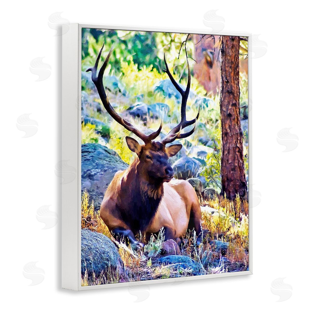 Alpenglow Workshop Stag Deer Resting Amid Forest Trees Natural Wildlife  White Framed Giclee Wall Art Print