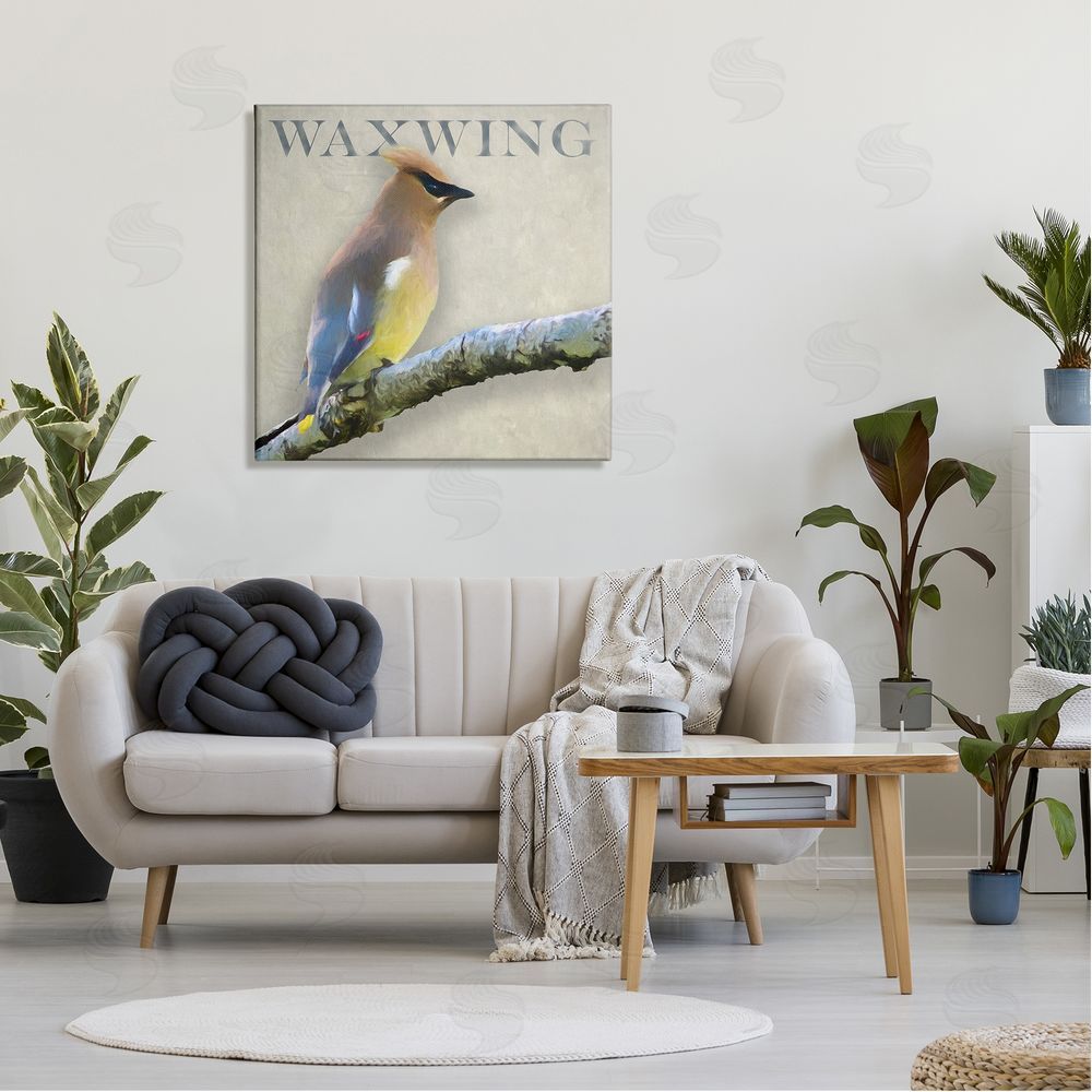 Alpenglow Workshop Waxwing Bird Perched Wildlife Breed Typography  Canvas Wall Art in Room