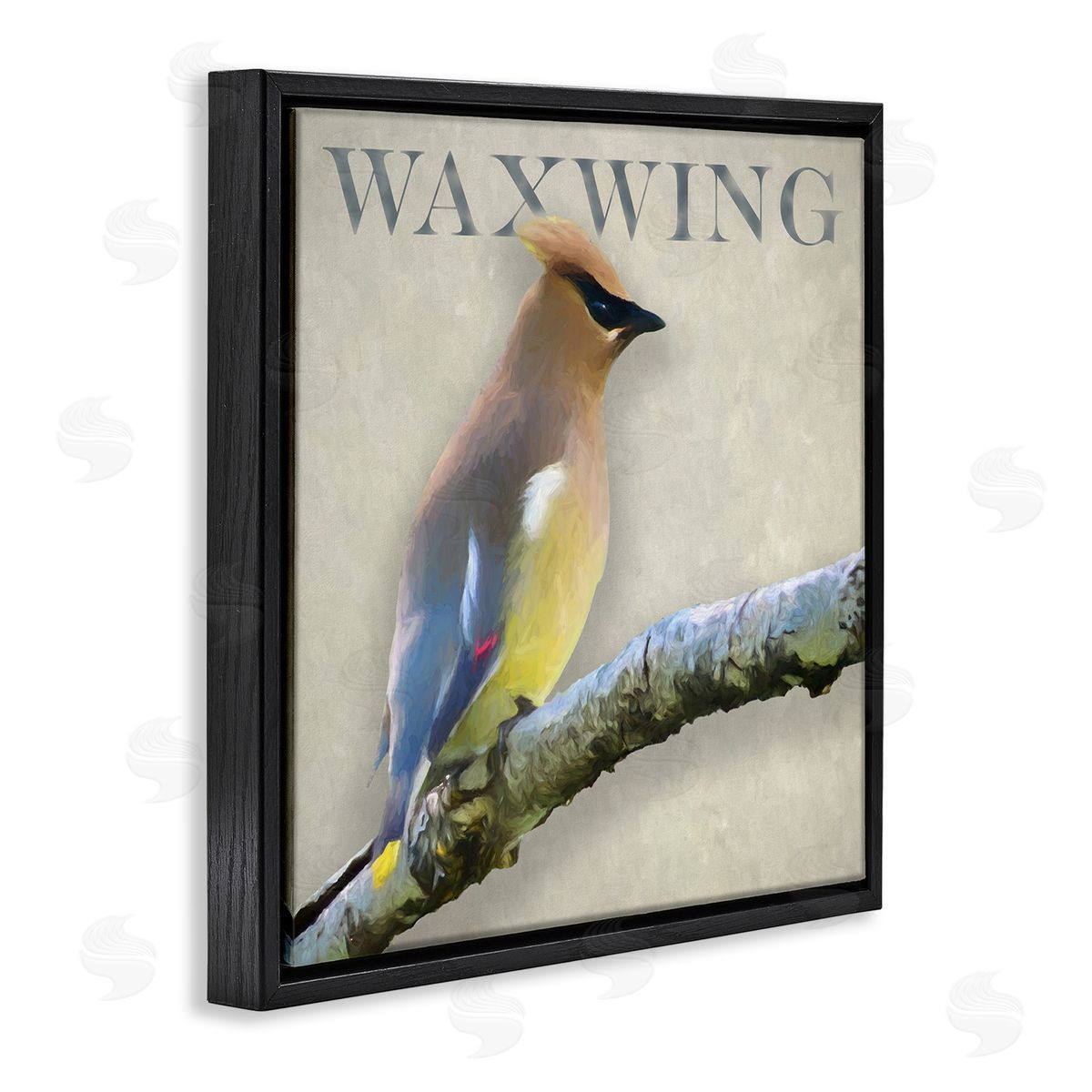 Alpenglow Workshop Waxwing Bird Perched Wildlife Breed Typography  Black Floating Frame Canvas Wall Art Print