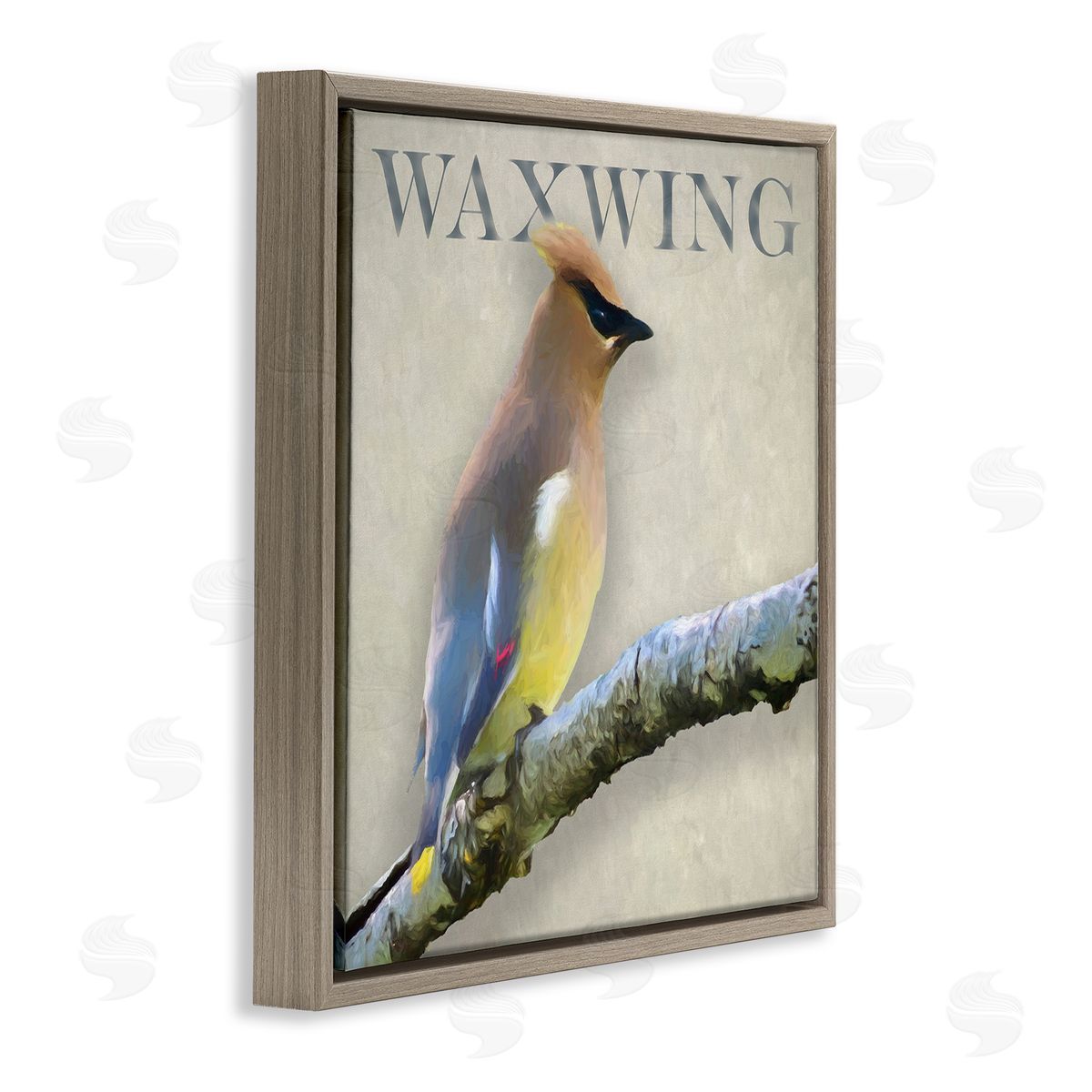 Alpenglow Workshop Waxwing Bird Perched Wildlife Breed Typography  Brown Floating Frame Canvas Wall Art Print
