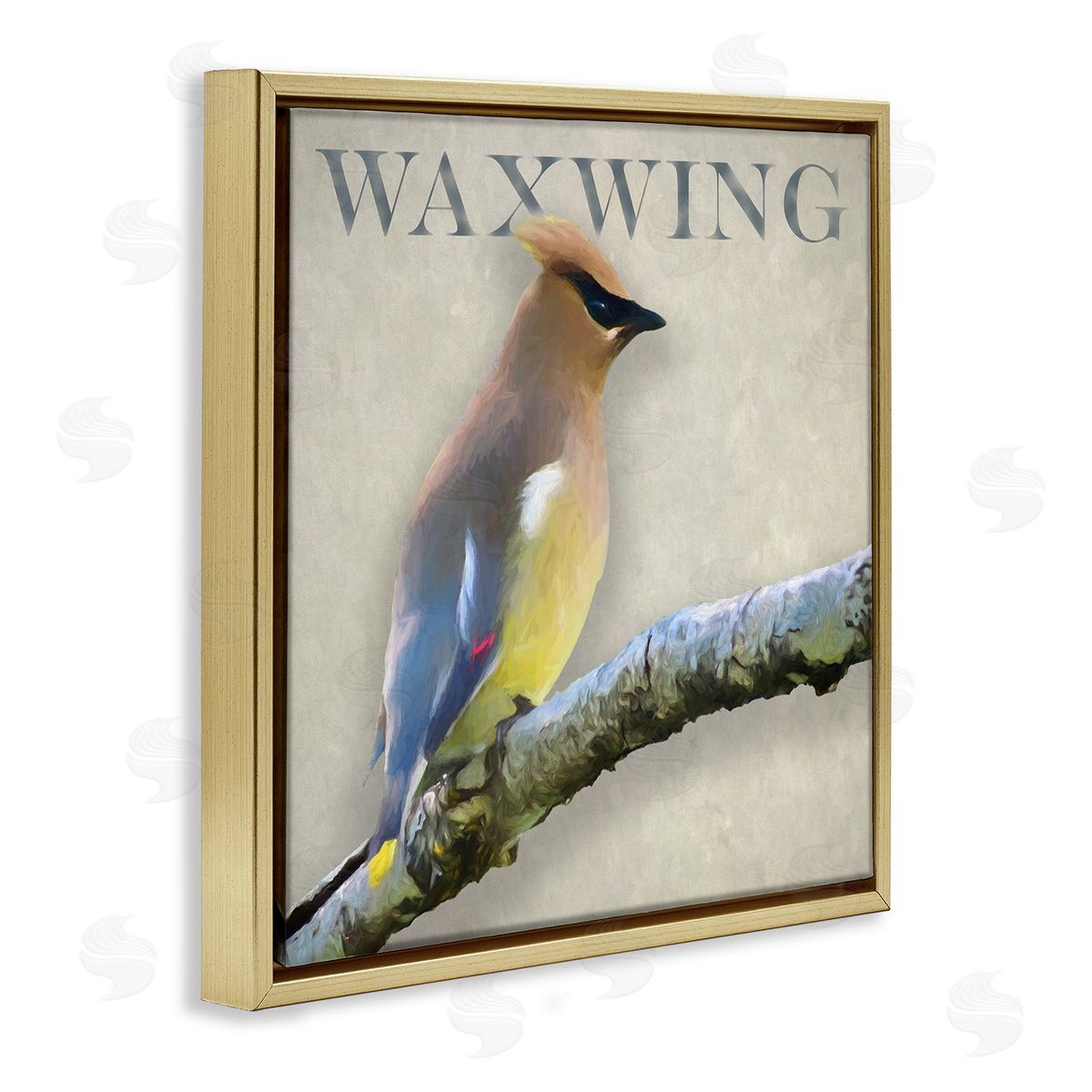 Alpenglow Workshop Waxwing Bird Perched Wildlife Breed Typography  Gold Floating Frame Canvas Wall Art Print