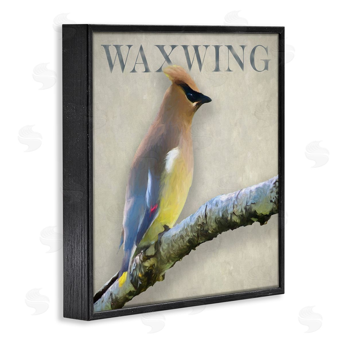 Alpenglow Workshop Waxwing Bird Perched Wildlife Breed Typography  Black Framed Glicee Wall Art Print