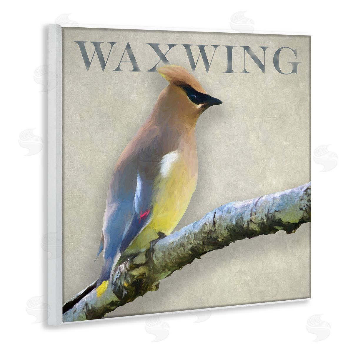 Alpenglow Workshop Waxwing Bird Perched Wildlife Breed Typography  Wooden Wall Plaque Art Print