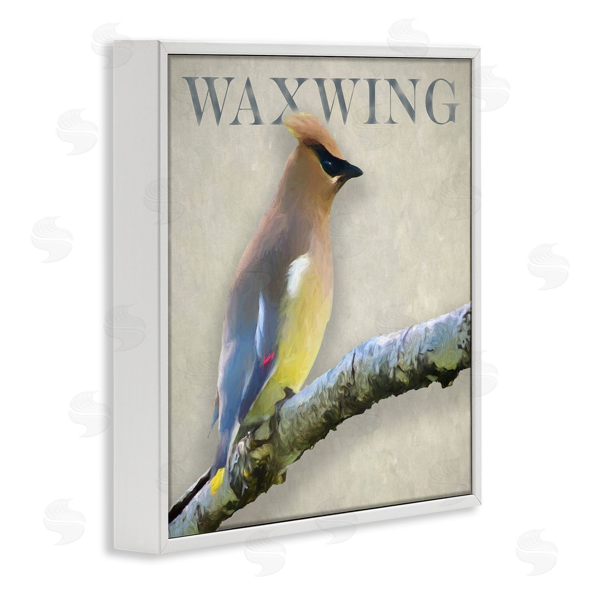 Alpenglow Workshop Waxwing Bird Perched Wildlife Breed Typography  White Framed Glicee Wall Art Print