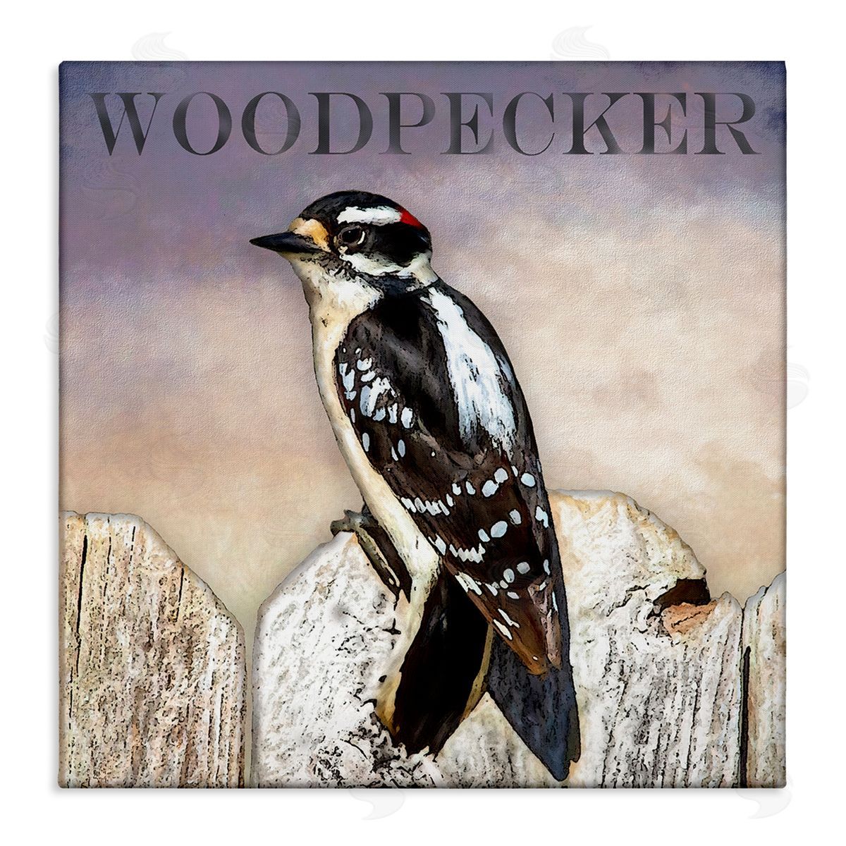 Alpenglow Workshop Woodpecker Bird Perched on Fence Breed Typography Design Stretched Canvas Wall Art Print