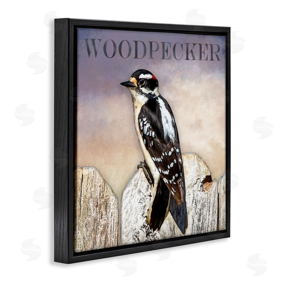 Alpenglow Workshop Woodpecker Bird Perched on Fence Breed Typography Design Black Floating Frame Canvas Wall Art Print