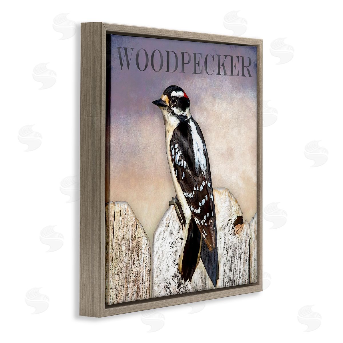 Alpenglow Workshop Woodpecker Bird Perched on Fence Breed Typography Design Brown Floating Frame Canvas Wall Art Print