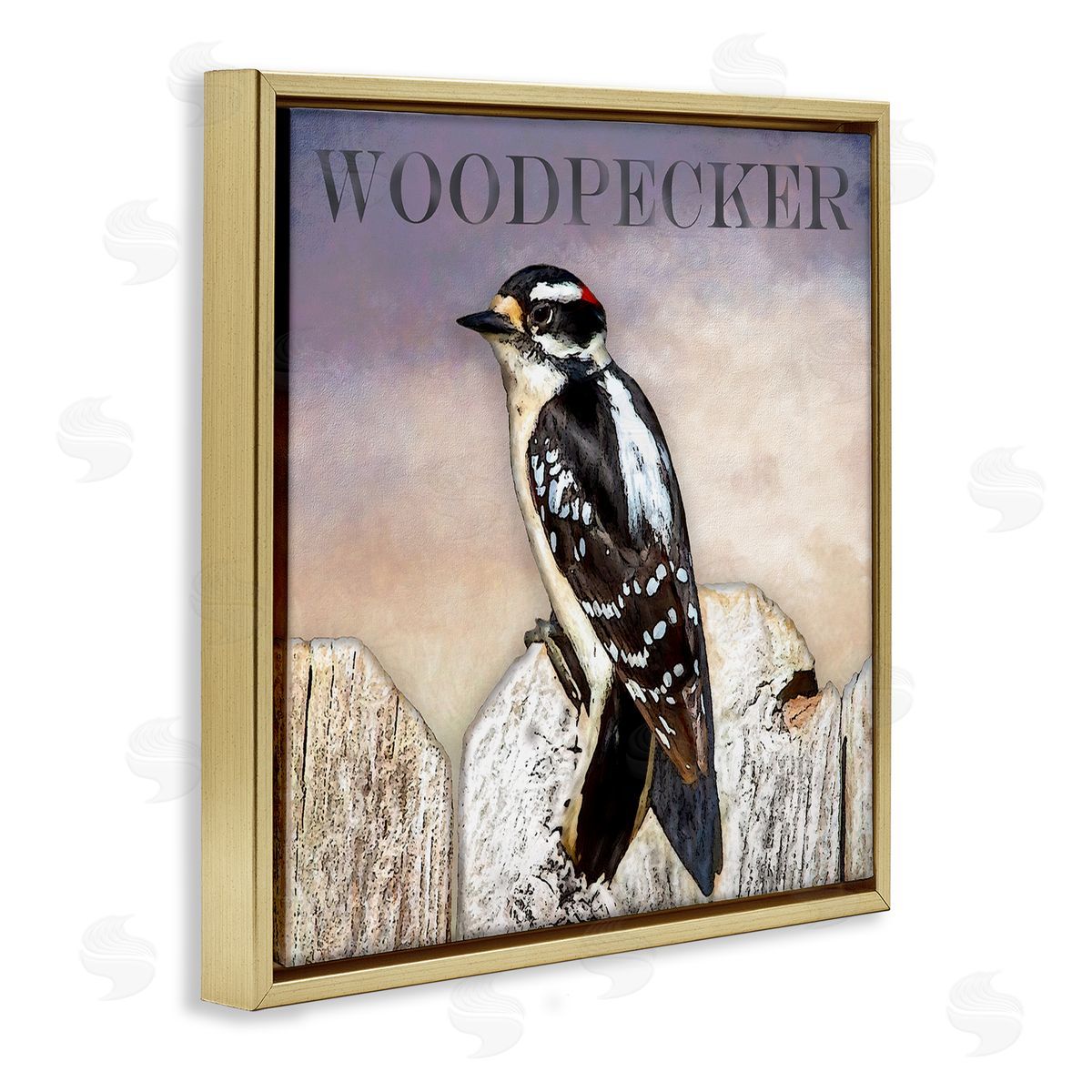 Alpenglow Workshop Woodpecker Bird Perched on Fence Breed Typography Design Gold Floating Frame Canvas Wall Art Print