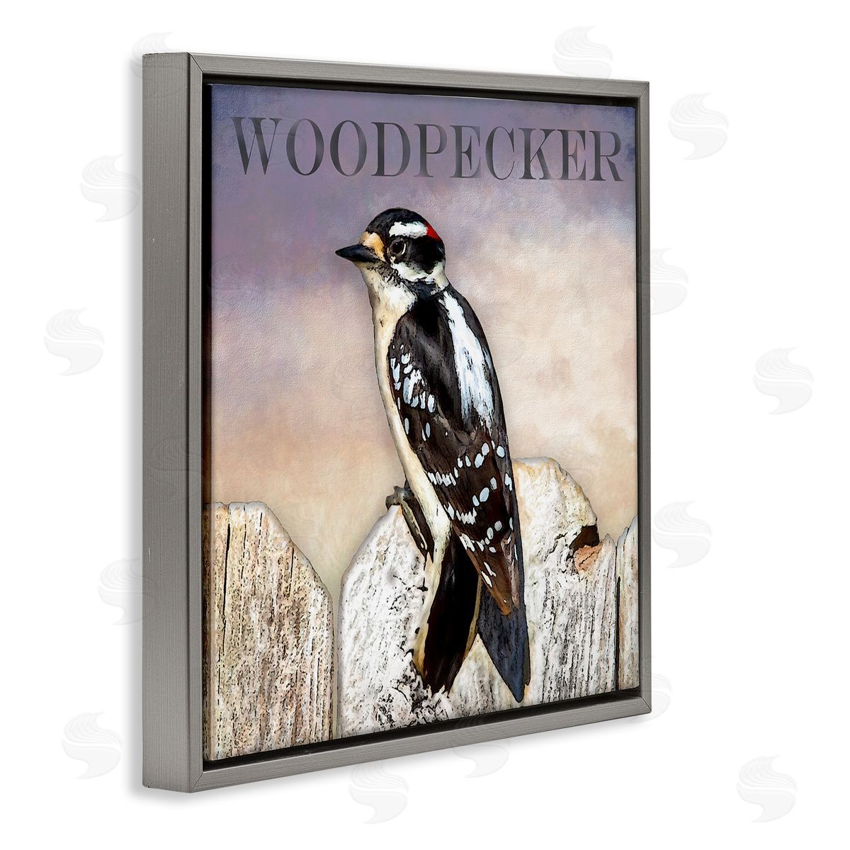 Alpenglow Workshop Woodpecker Bird Perched on Fence Breed Typography Design Gray Floating Frame Canvas Wall Art Print