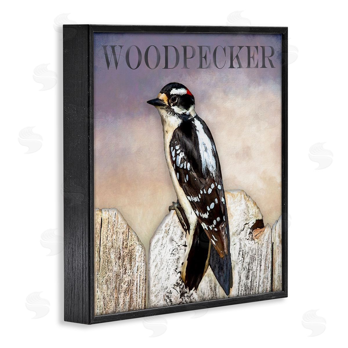 Alpenglow Workshop Woodpecker Bird Perched on Fence Breed Typography Design Black Framed Glicee Wall Art Print