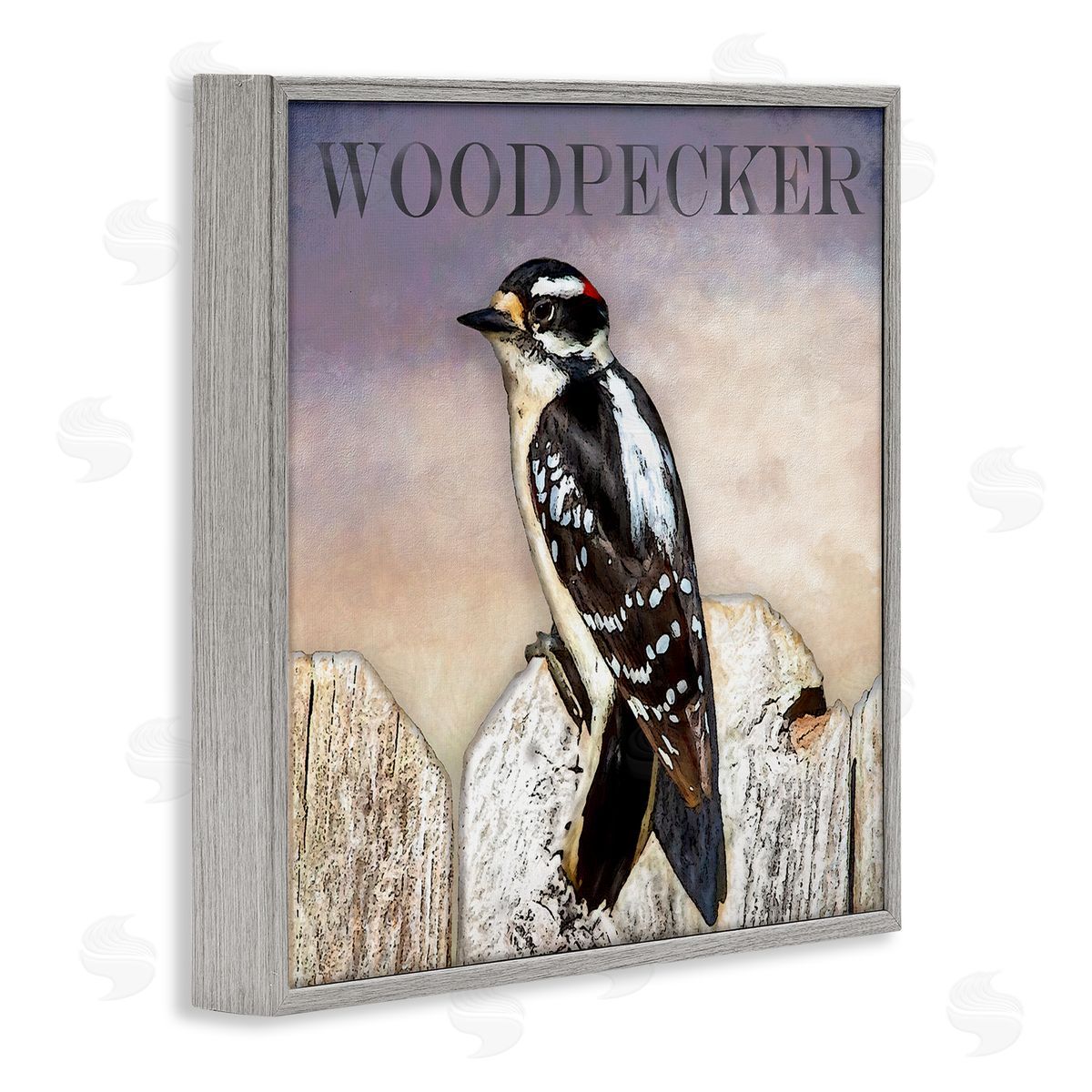 Alpenglow Workshop Woodpecker Bird Perched on Fence Breed Typography Design Gray Framed Glicee Wall Art Print