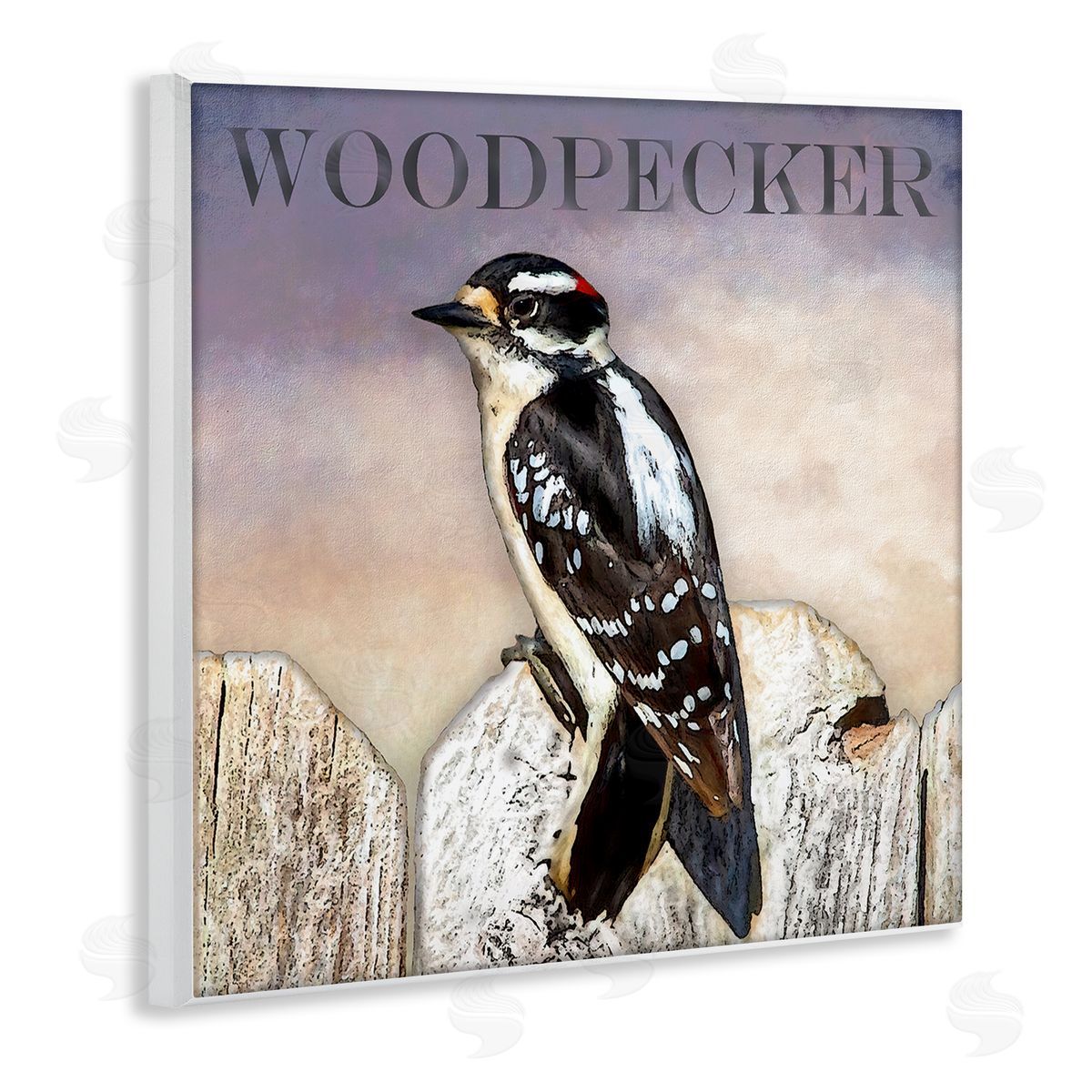 Alpenglow Workshop Woodpecker Bird Perched on Fence Breed Typography Design Wooden Wall Plaque Art Print