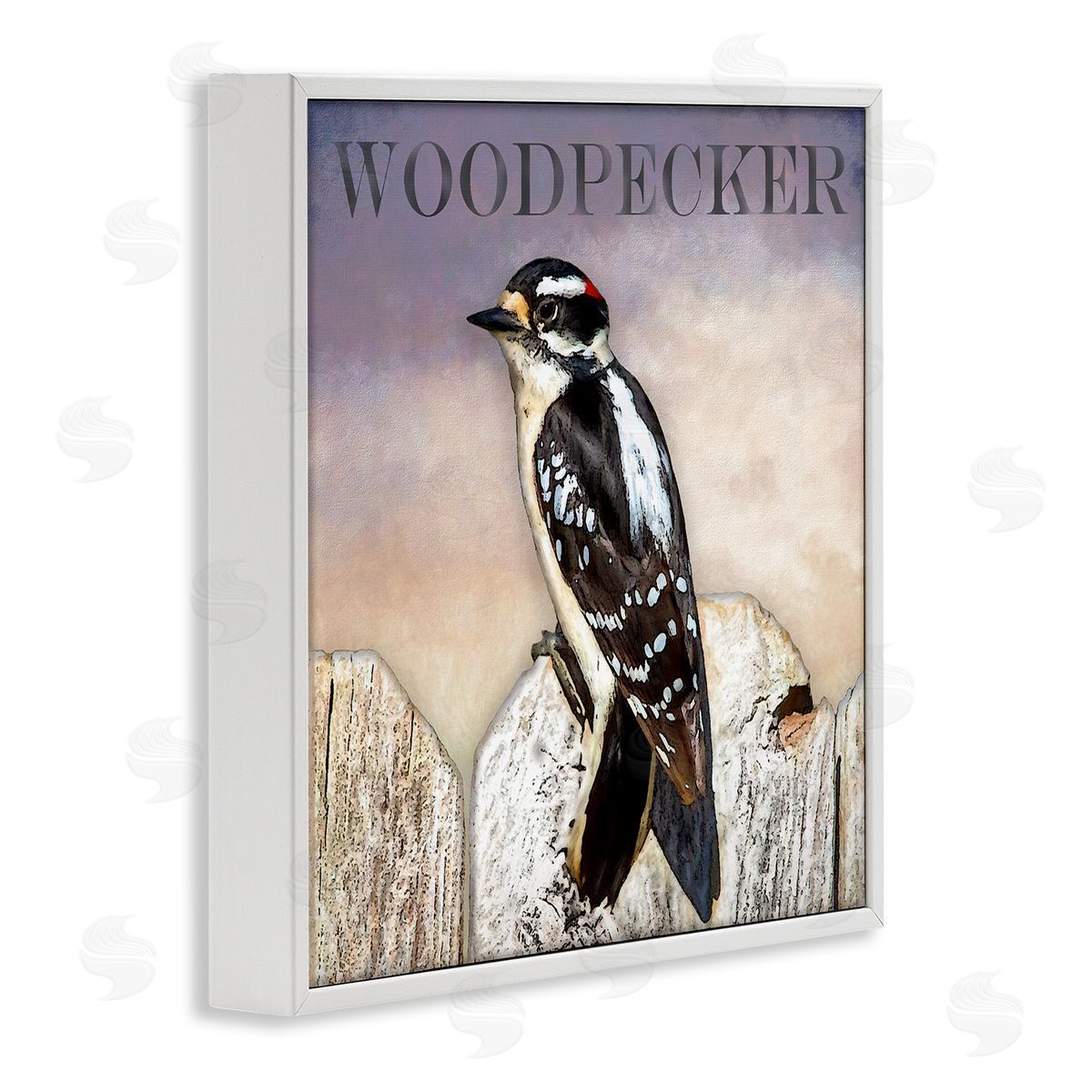 Alpenglow Workshop Woodpecker Bird Perched on Fence Breed Typography Design White Framed Glicee Wall Art Print