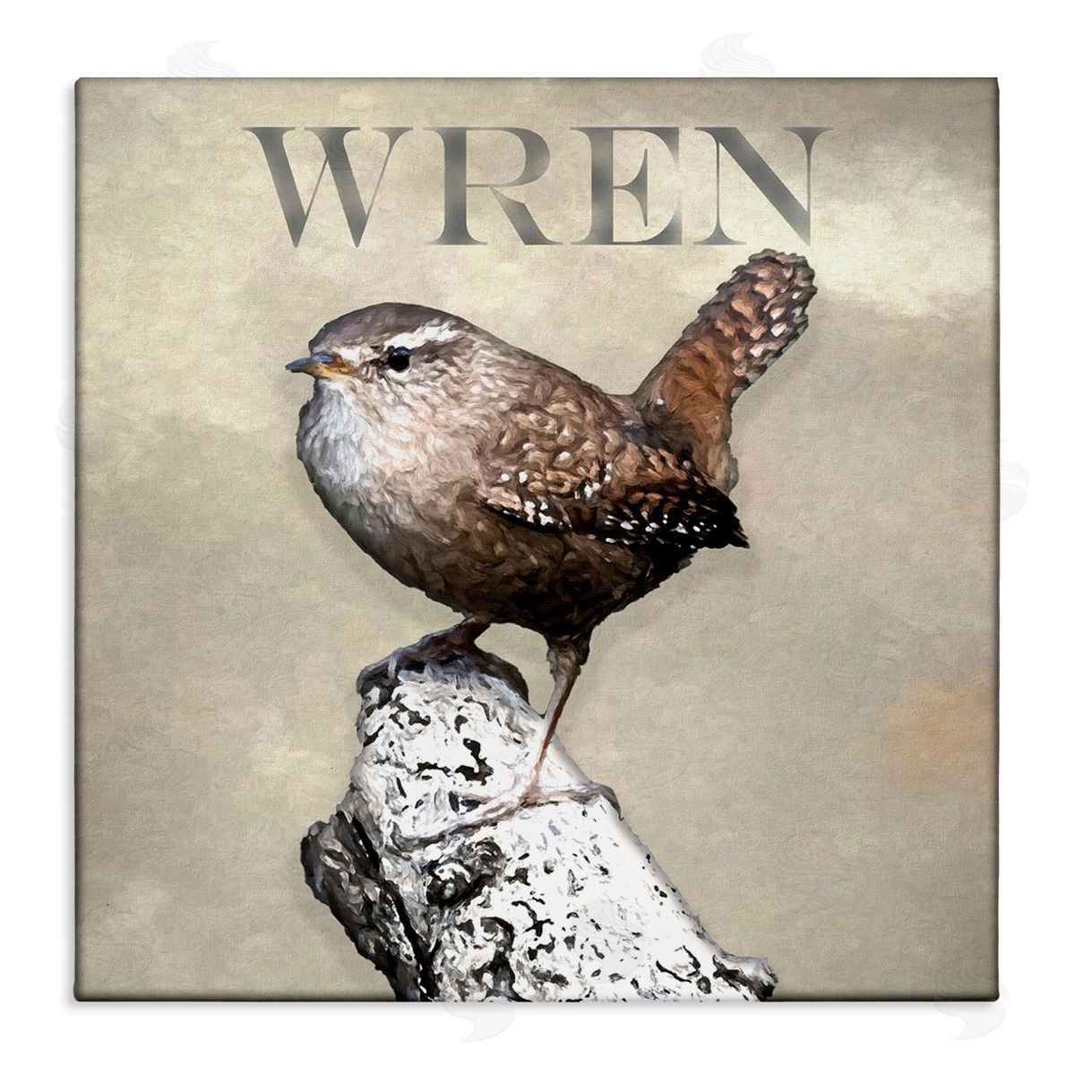 Alpenglow Workshop Wren Bird Standing Casual Nature Breed Typography Stretched Canvas Wall Art Print