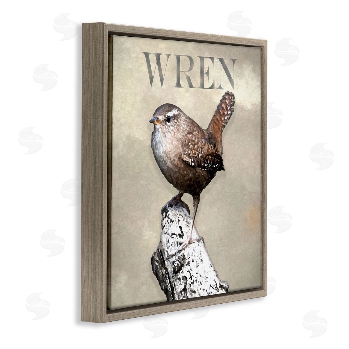 Alpenglow Workshop Wren Bird Standing Casual Nature Breed Typography Brown Floating Frame Canvas Wall Art Print