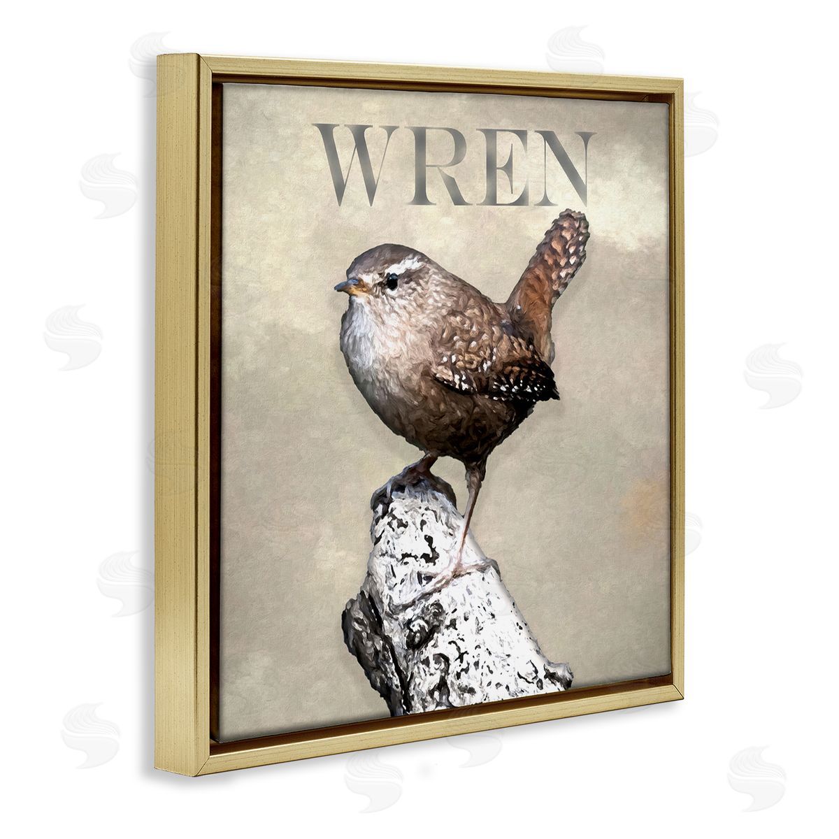 Alpenglow Workshop Wren Bird Standing Casual Nature Breed Typography Gold Floating Frame Canvas Wall Art Print