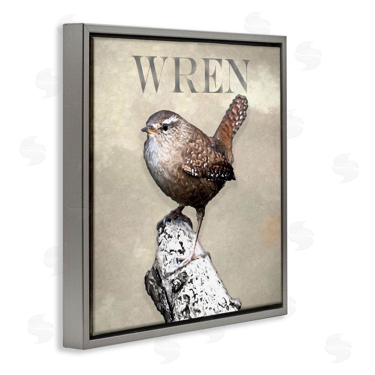 Alpenglow Workshop Wren Bird Standing Casual Nature Breed Typography Gray Floating Frame Canvas Wall Art Print