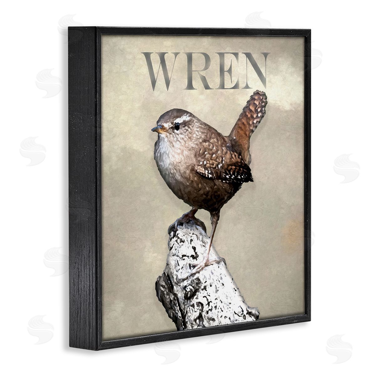 Alpenglow Workshop Wren Bird Standing Casual Nature Breed Typography Black Framed Glicee Wall Art Print