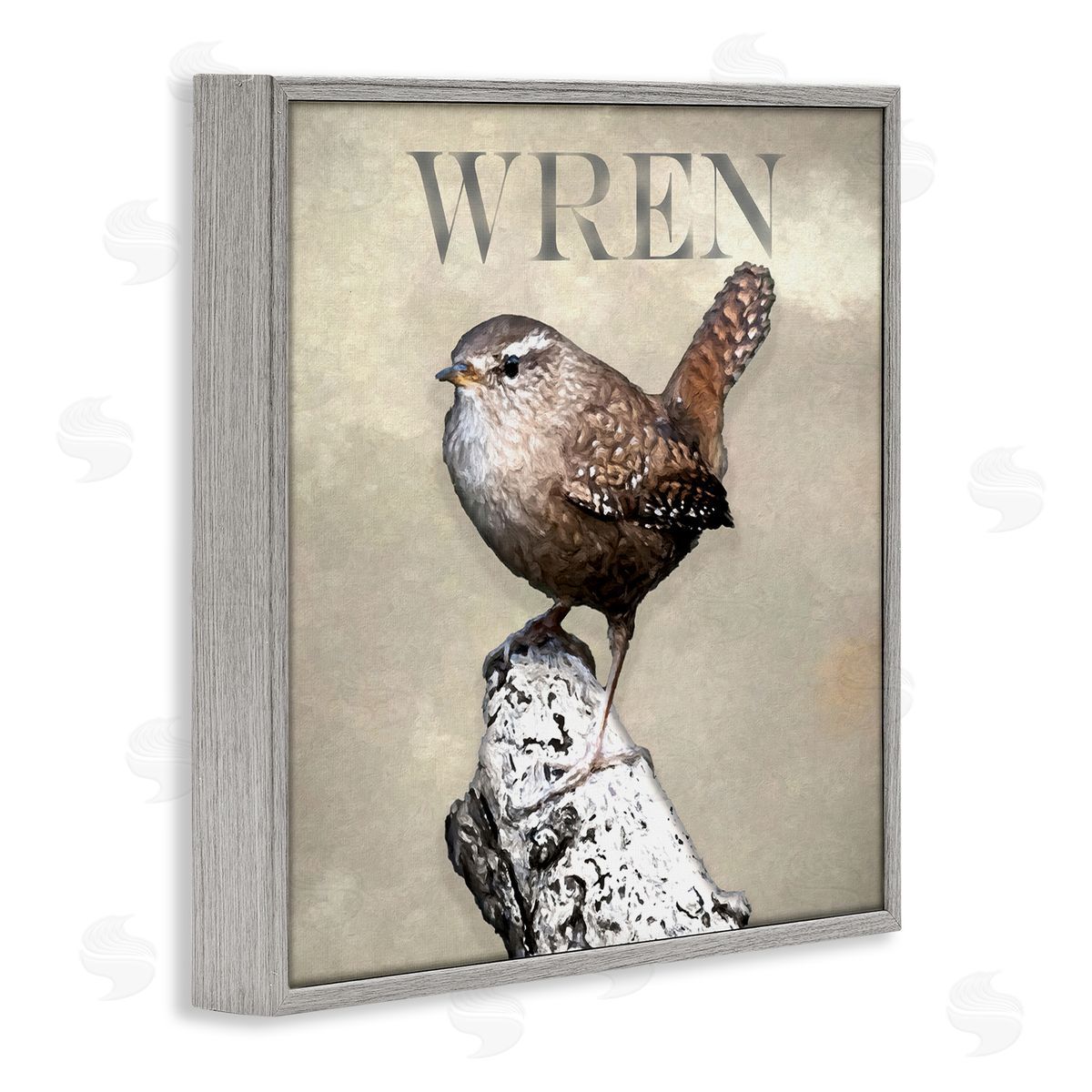 Alpenglow Workshop Wren Bird Standing Casual Nature Breed Typography Gray Framed Glicee Wall Art Print