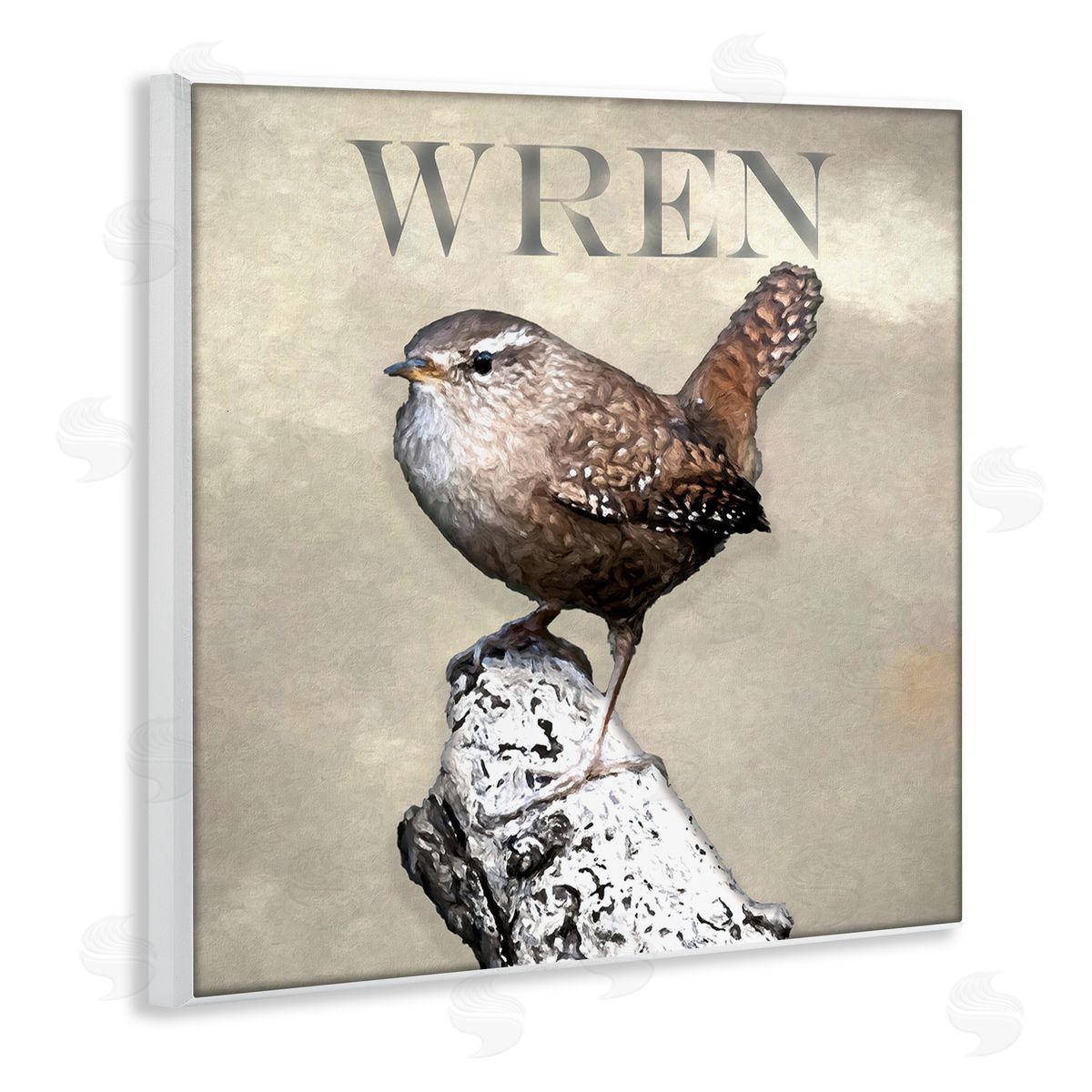Alpenglow Workshop Wren Bird Standing Casual Nature Breed Typography Wooden Wall Plaque Art Print