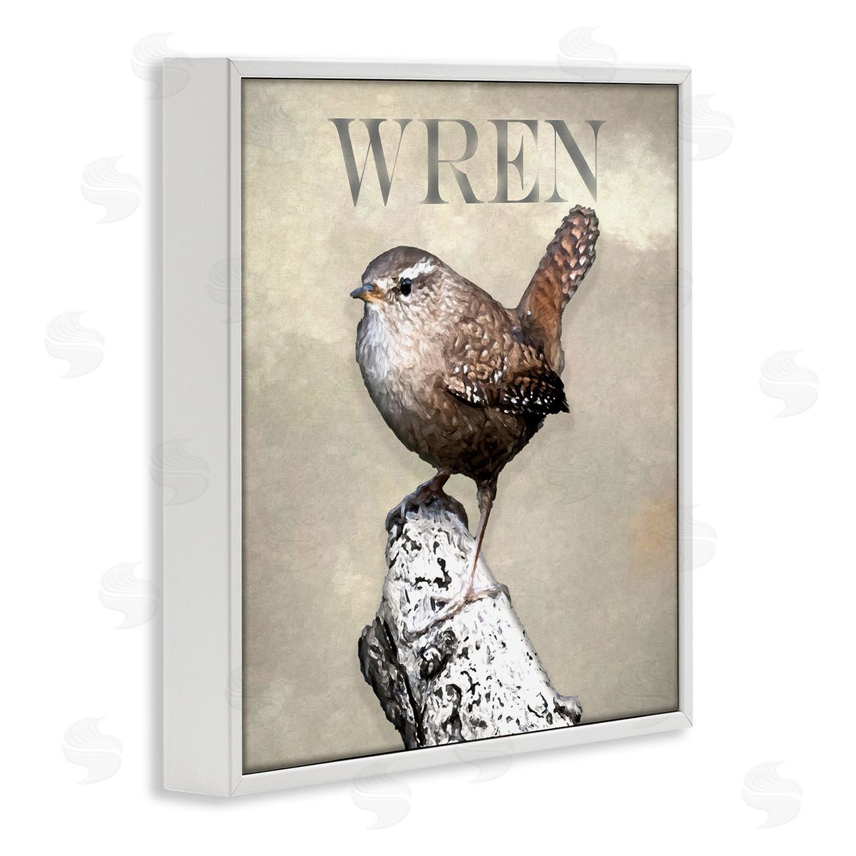 Alpenglow Workshop Wren Bird Standing Casual Nature Breed Typography White Framed Glicee Wall Art Print