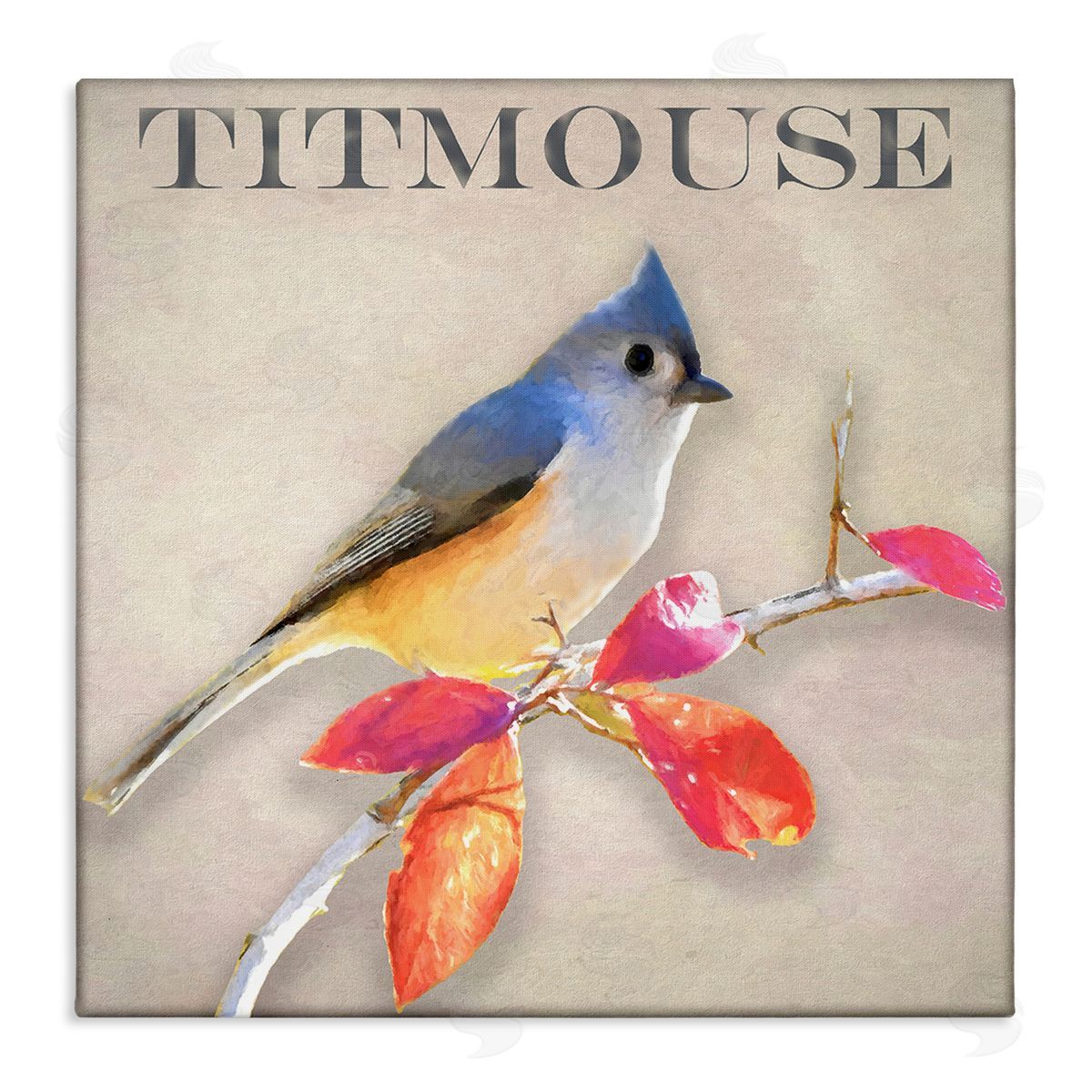 Alpenglow Workshop Titmouse Bird Perched Vivid Plant Leaves Typography Stretched Canvas Wall Art Print