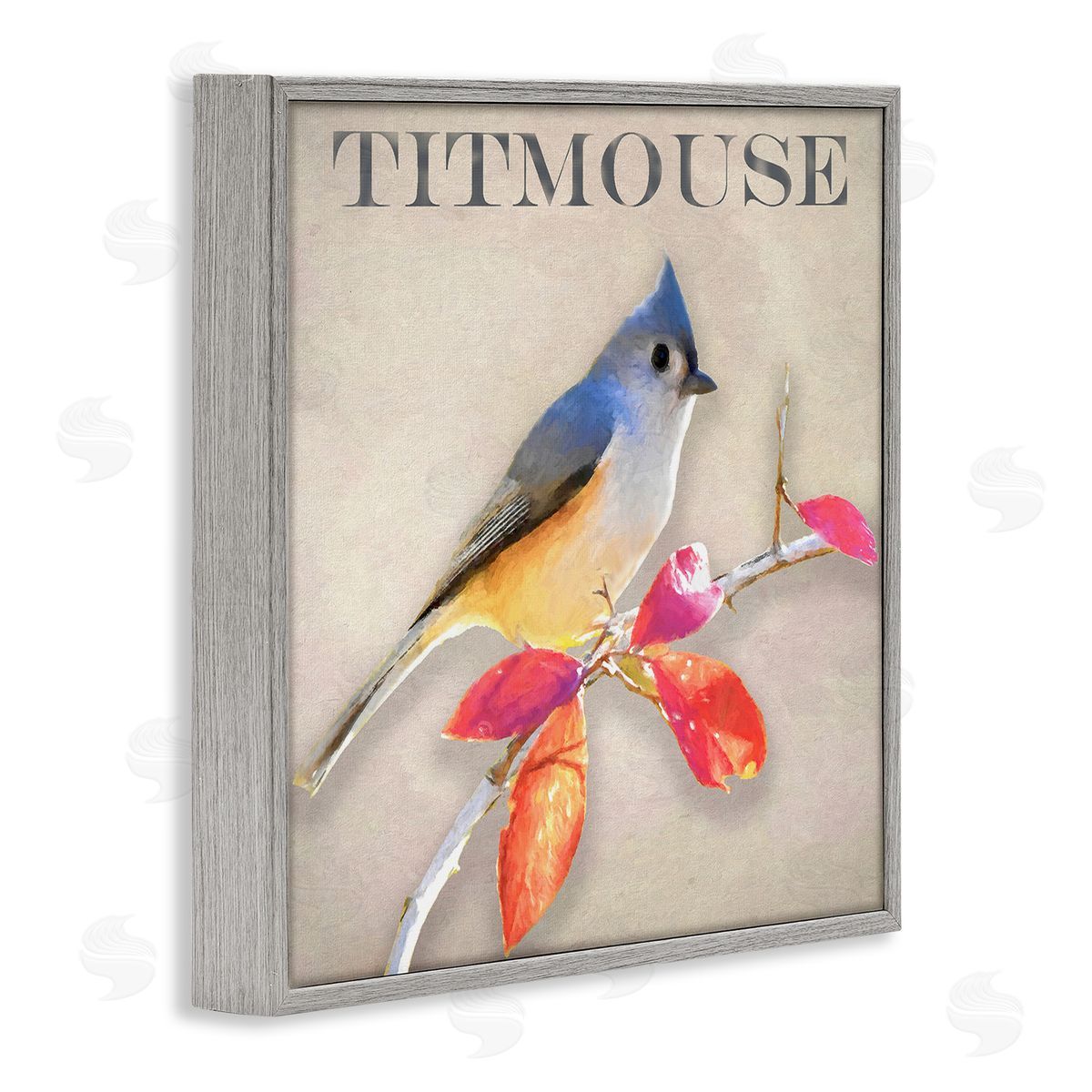 Alpenglow Workshop Titmouse Bird Perched Vivid Plant Leaves Typography Gray Framed Glicee Wall Art Print