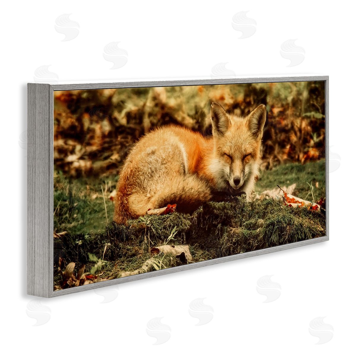 Carrie Ann Grippo-Pike Sleeping Fox Kit Peaceful Forest Floor Lush Nature