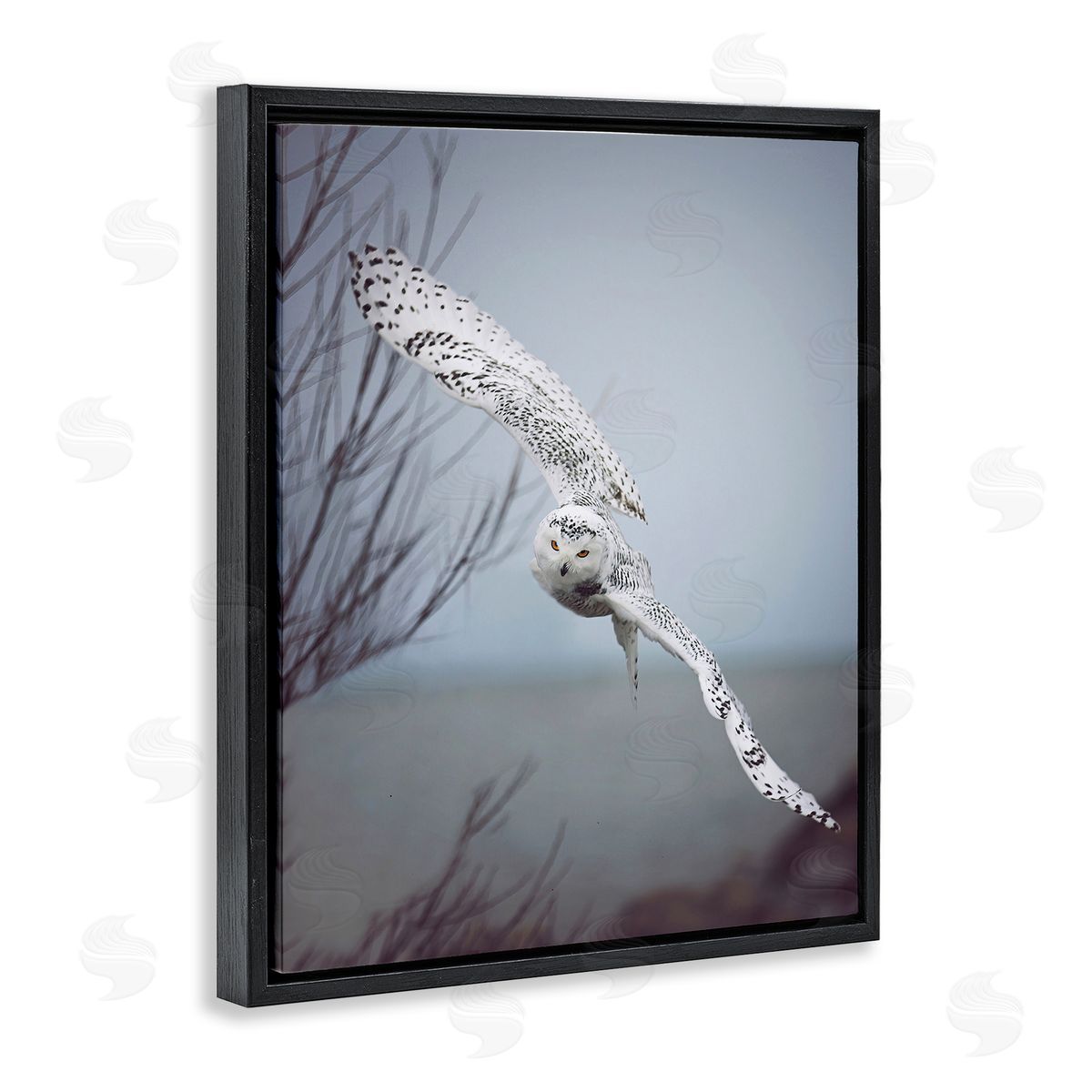 Carrie Ann Grippo-Pike Majestic Snowy Owl Flying Wingspan Wildlife Photography Black Floating Frame Canvas Wall Art Print