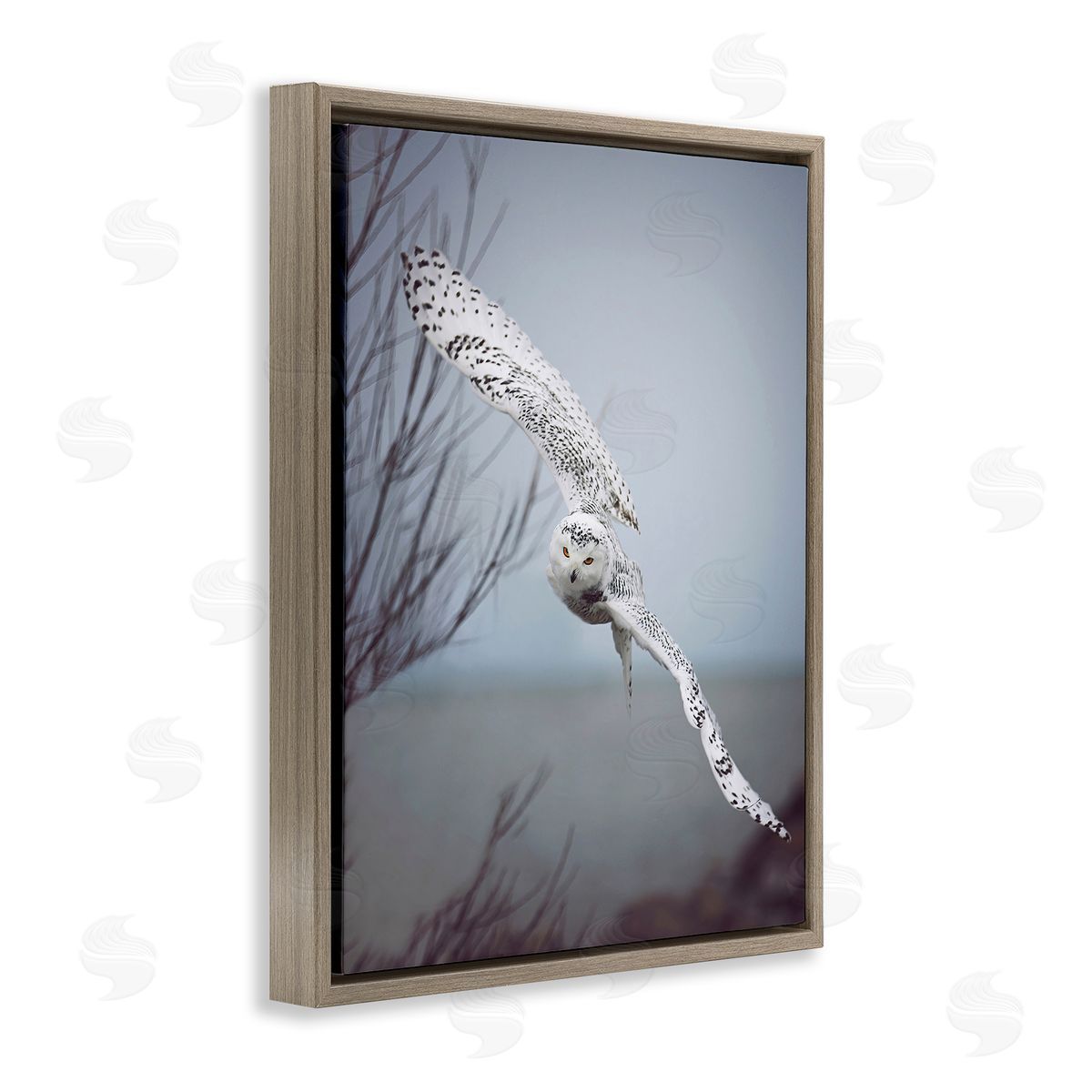 Carrie Ann Grippo-Pike Majestic Snowy Owl Flying Wingspan Wildlife Photography Brown Floating Frame Canvas Wall Art Print