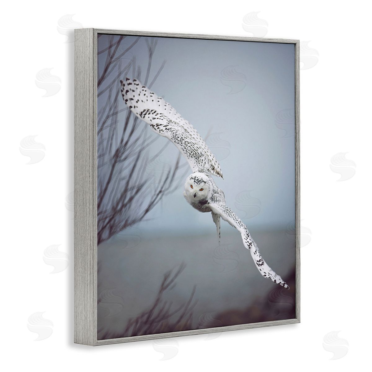 Carrie Ann Grippo-Pike Majestic Snowy Owl Flying Wingspan Wildlife Photography Gray Framed Giclee Wall Art Print