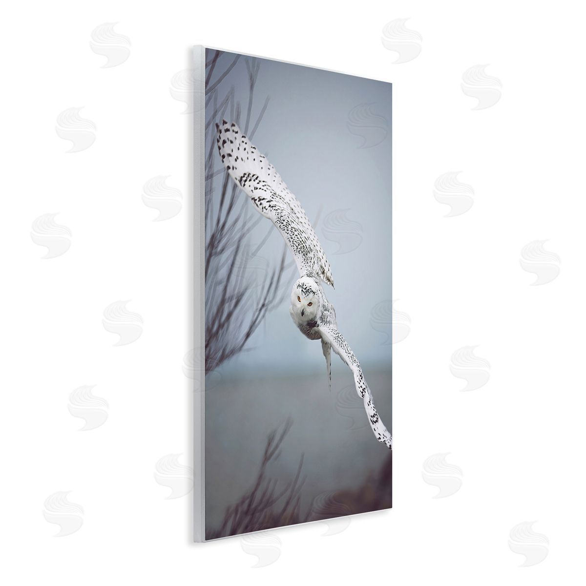 Carrie Ann Grippo-Pike Majestic Snowy Owl Flying Wingspan Wildlife Photography Wall Plaque Art Print