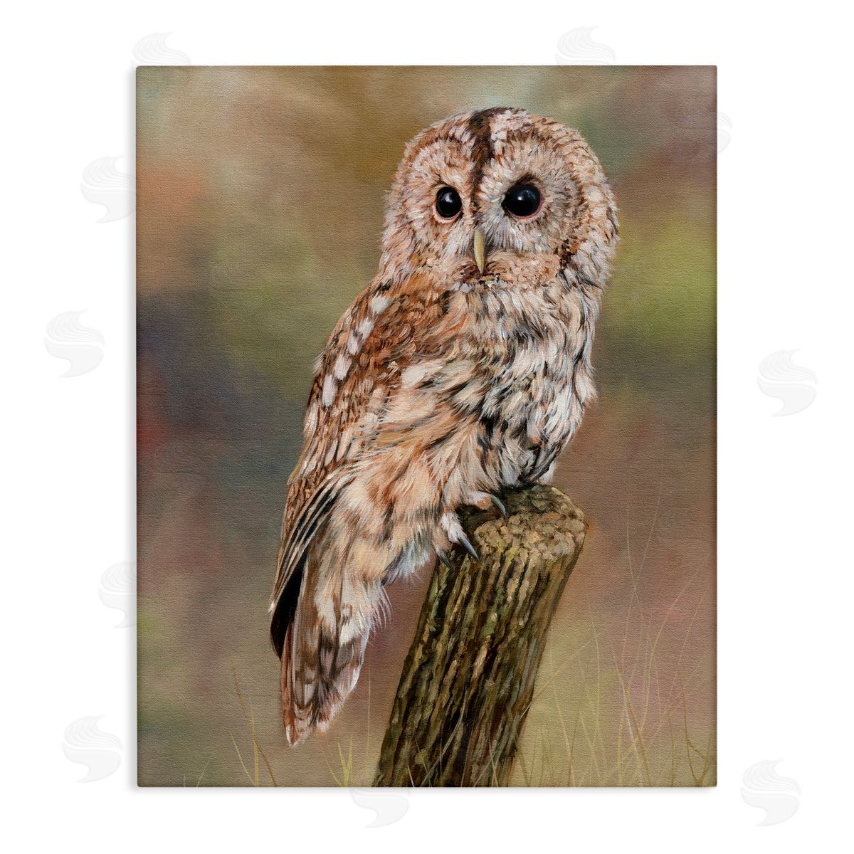 David Stribbling Brown Tawny Owl Perched Intricate Woodland Wildlife Painting  Stretched Canvas Wall Art Print