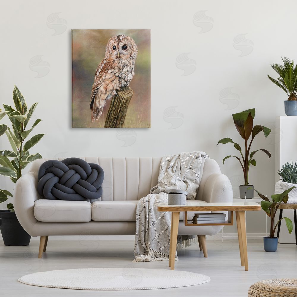 David Stribbling Brown Tawny Owl Perched Intricate Woodland Wildlife Painting  Canvas Wall Art Print in Room