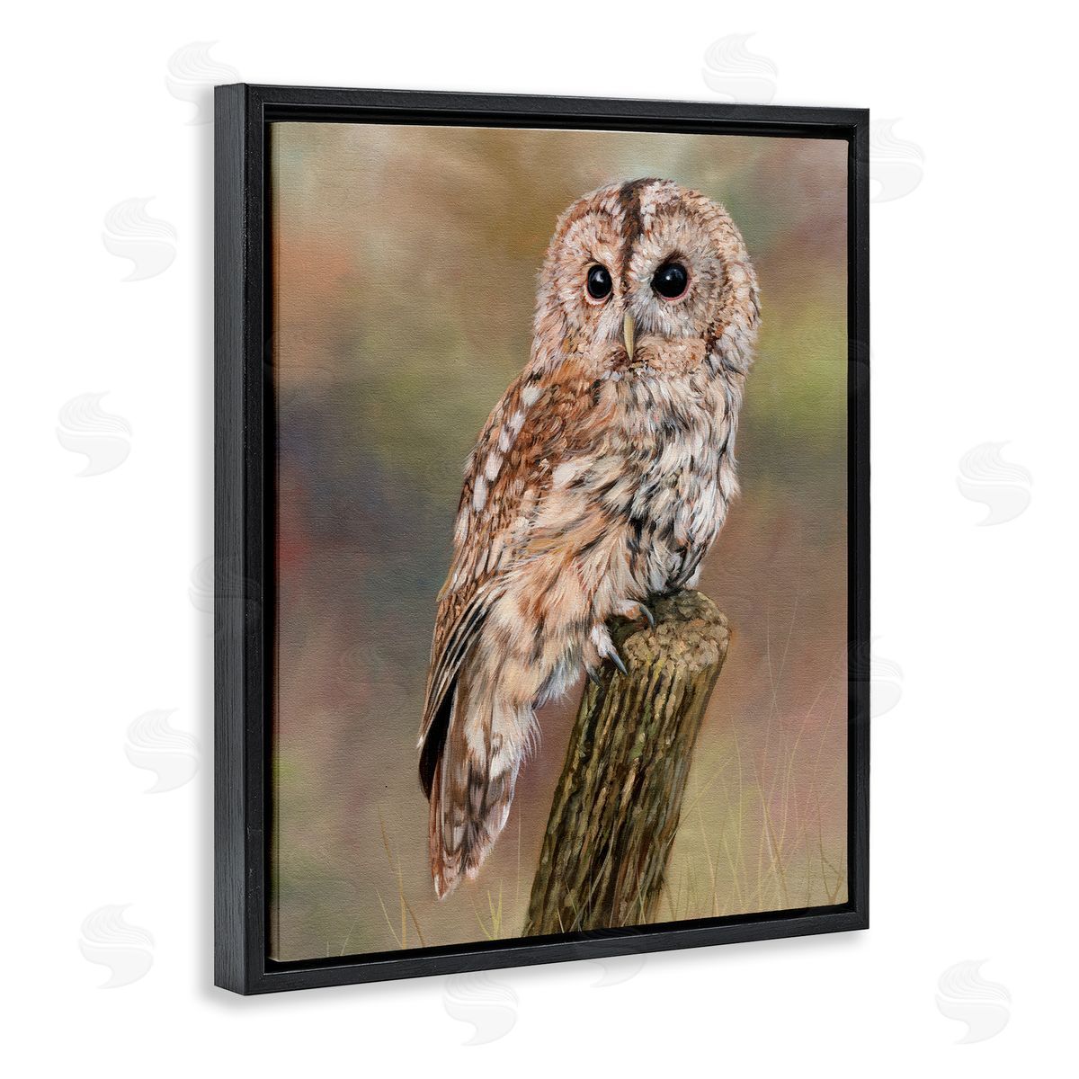 David Stribbling Brown Tawny Owl Perched Intricate Woodland Wildlife Painting  Black Floating Frame Canvas Wall Art Print