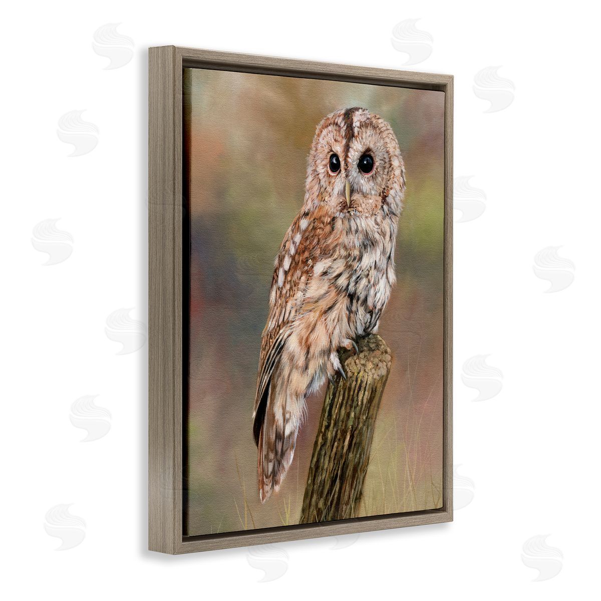 David Stribbling Brown Tawny Owl Perched Intricate Woodland Wildlife Painting  Brown Floating Frame Canvas Wall Art Print